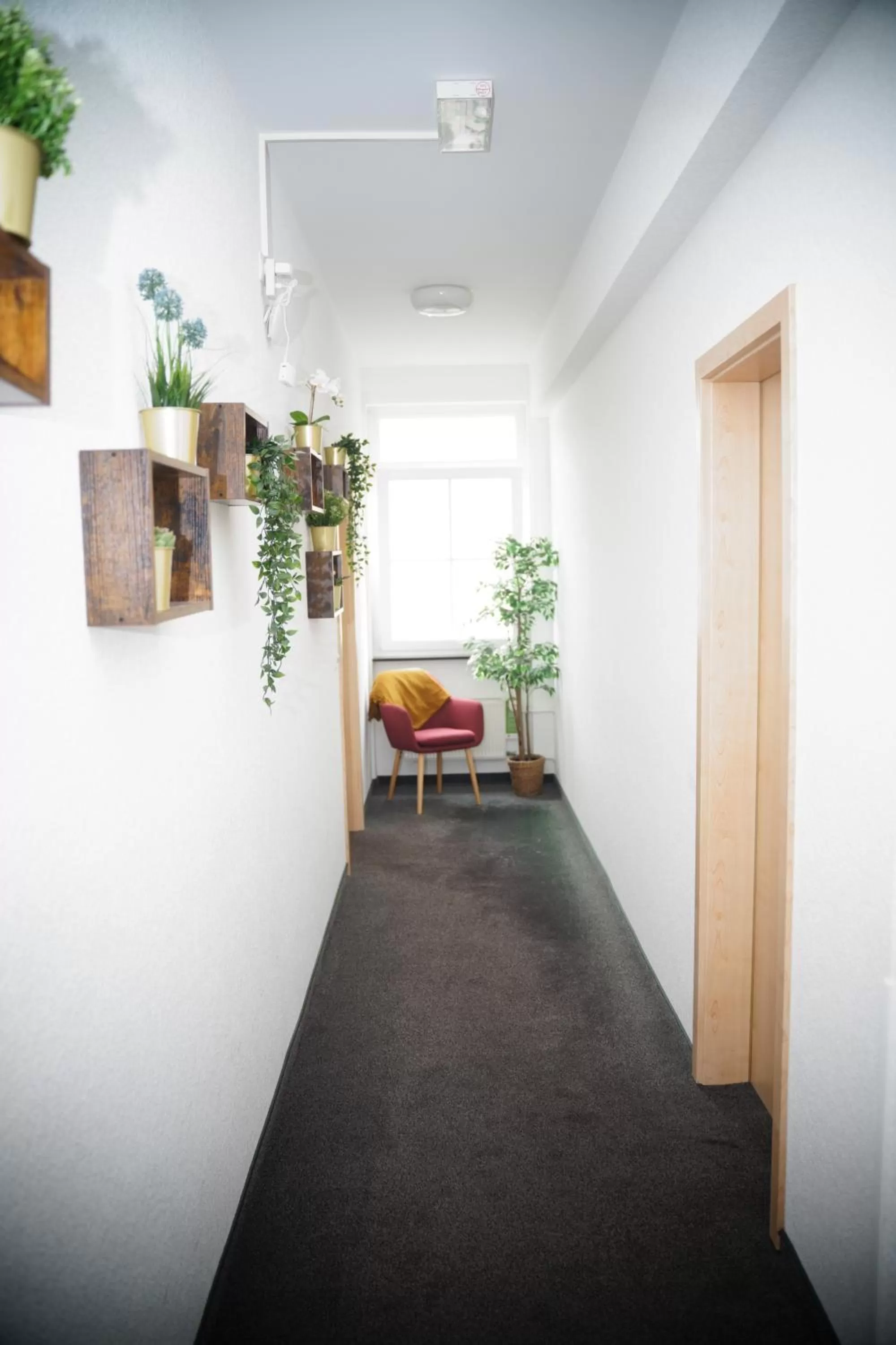 Photo of the whole room in BrauHotel Bonn