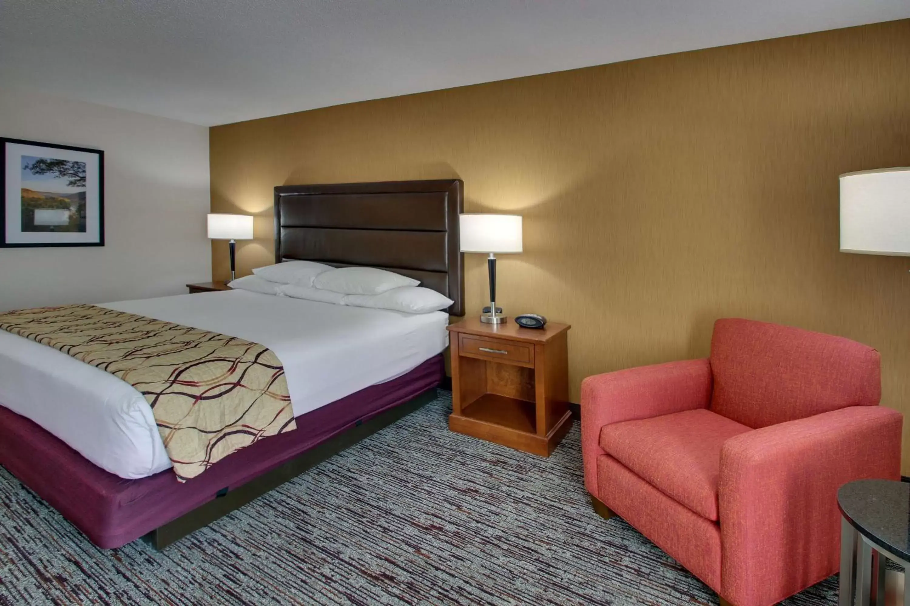 Photo of the whole room, Bed in Drury Inn & Suites Bowling Green
