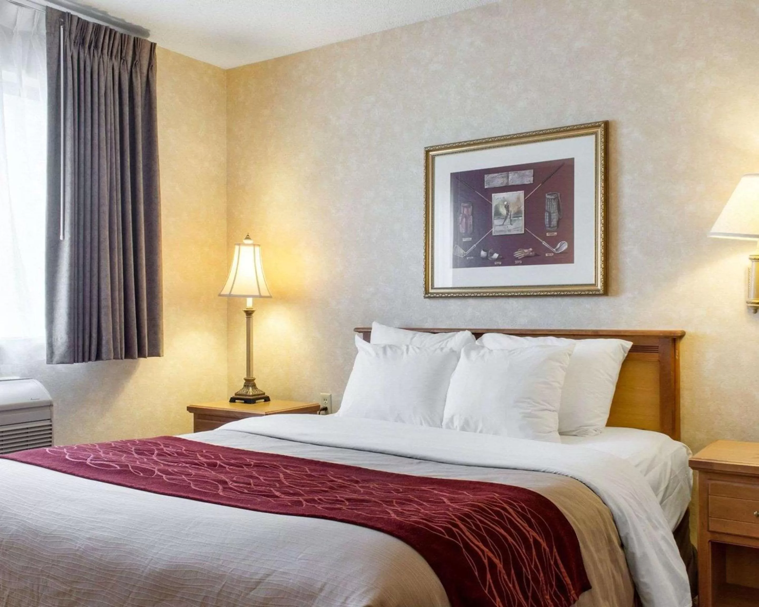 Photo of the whole room, Bed in Quality Inn