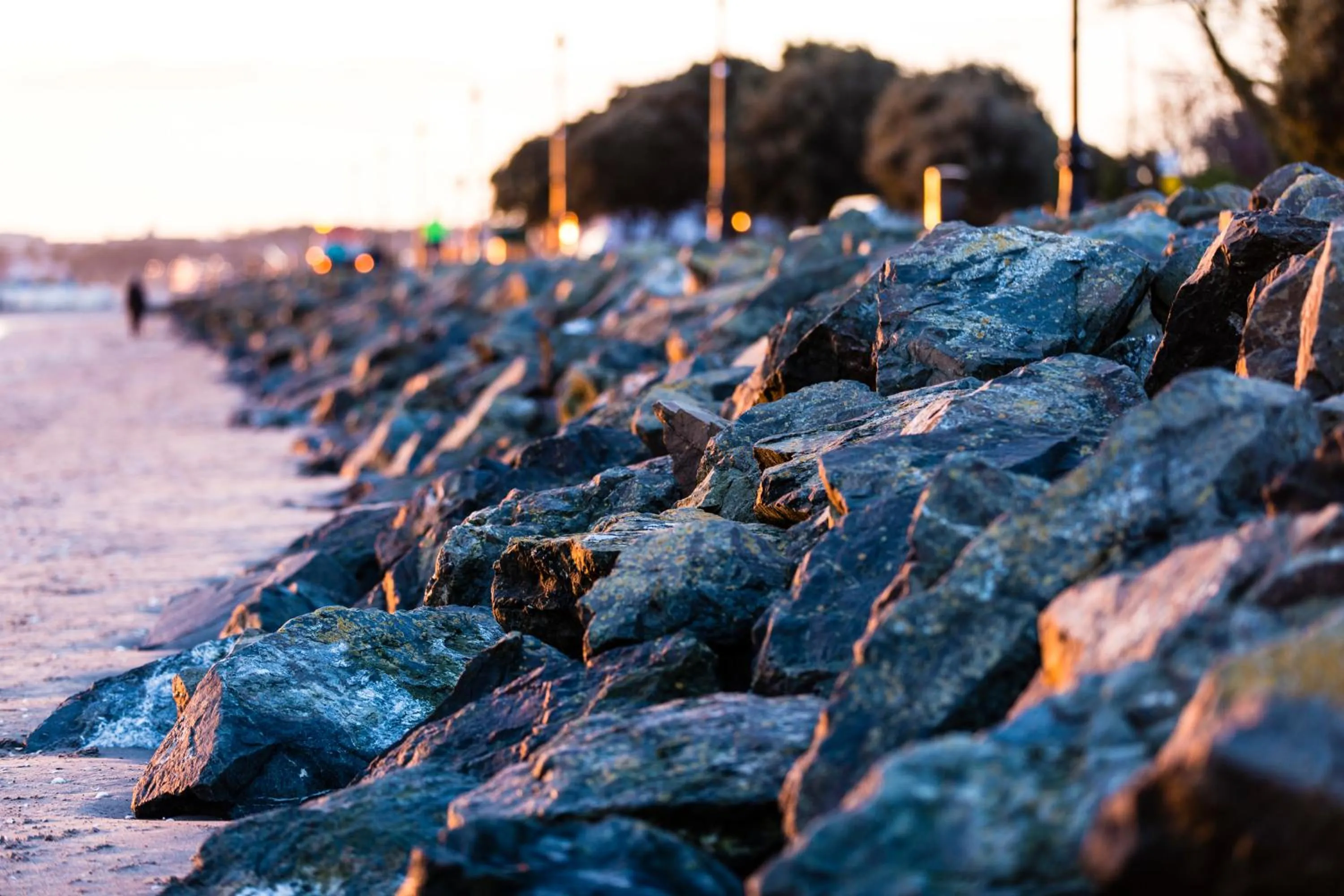 Natural landscape in Aberdeen Lodge