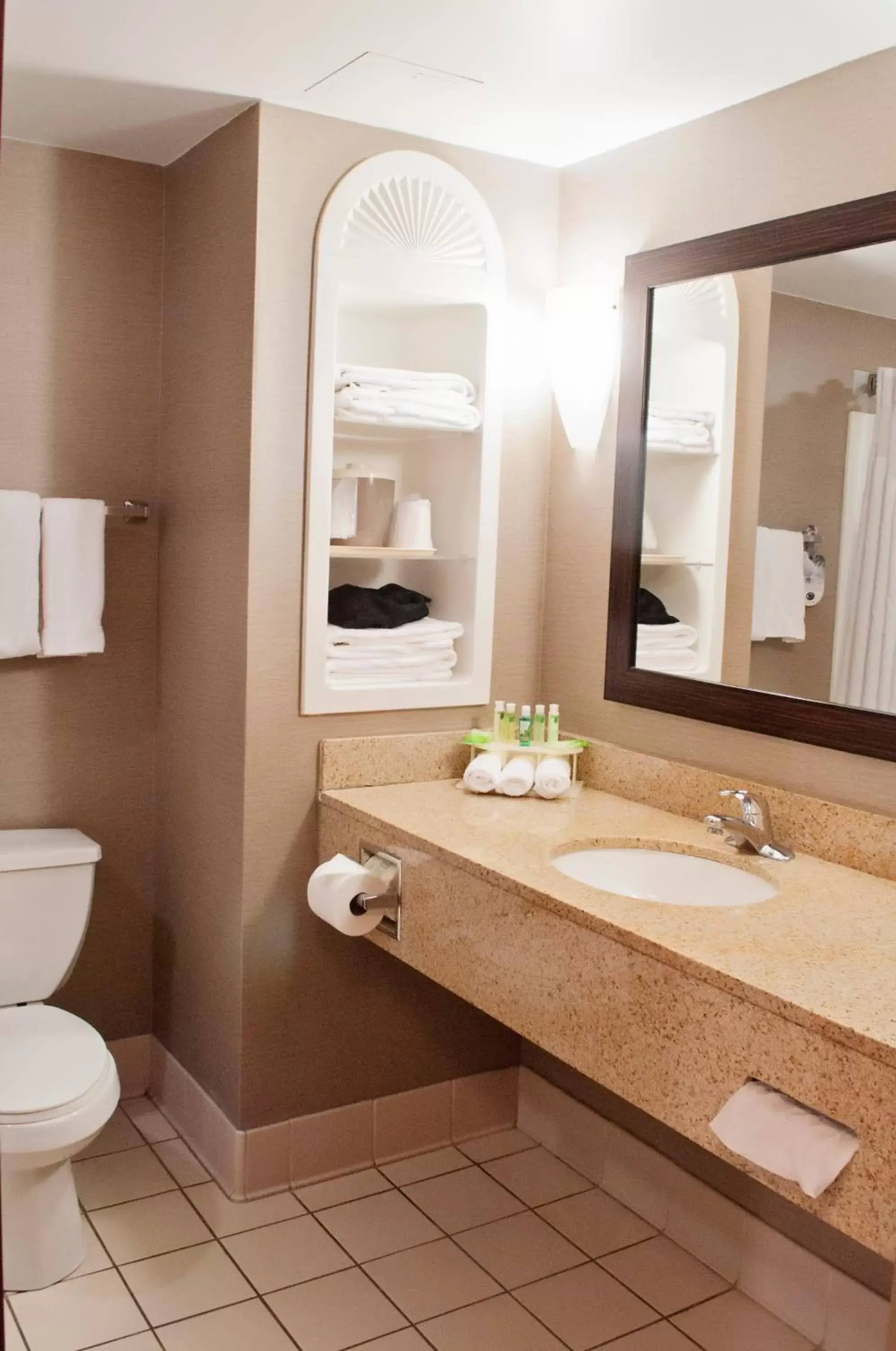 Bathroom in Holiday Inn Express Hotel & Suites Pittsburgh-South Side, an IHG Hotel