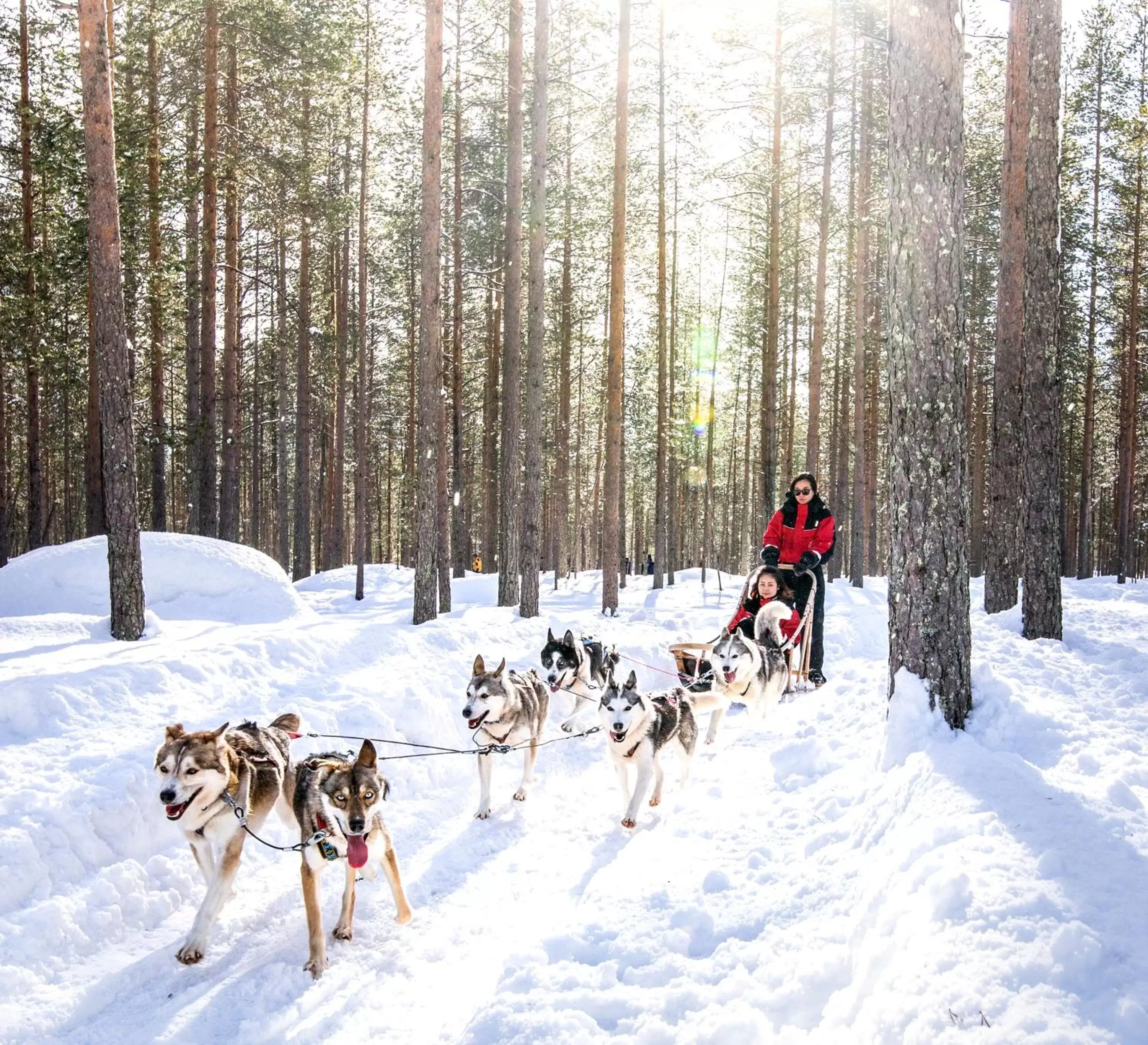 Off site, Winter in Lapland Hotels Sky Ounasvaara