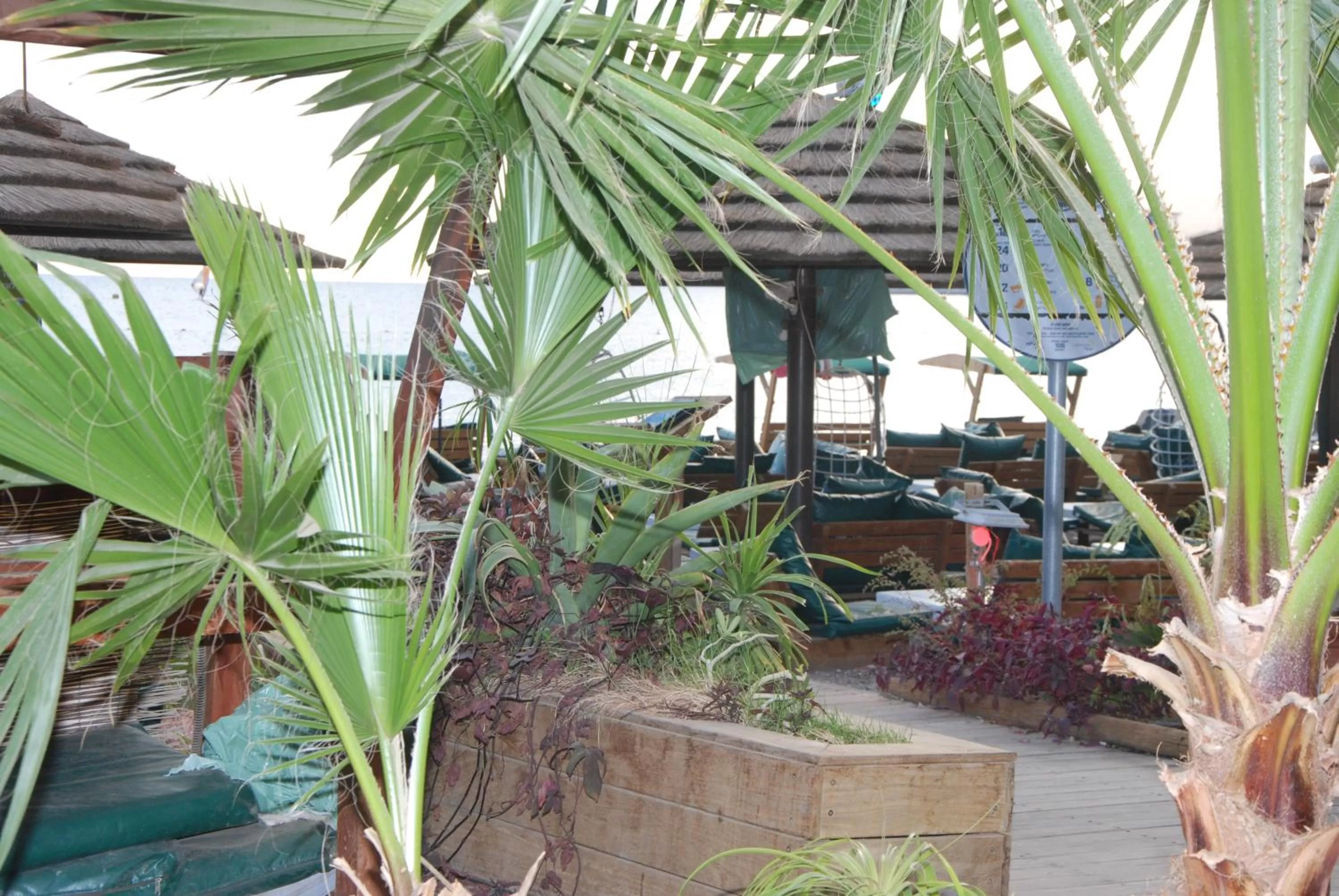 Sea view in Hotel Maman