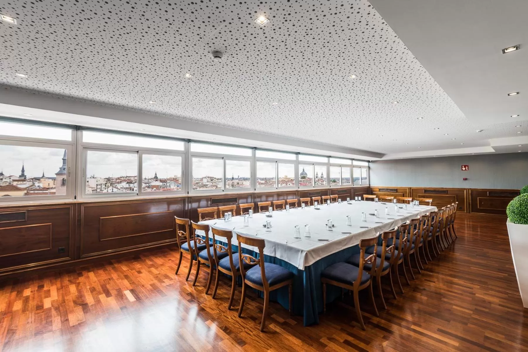 Banquet/Function facilities in Intelier Palacio San Martin