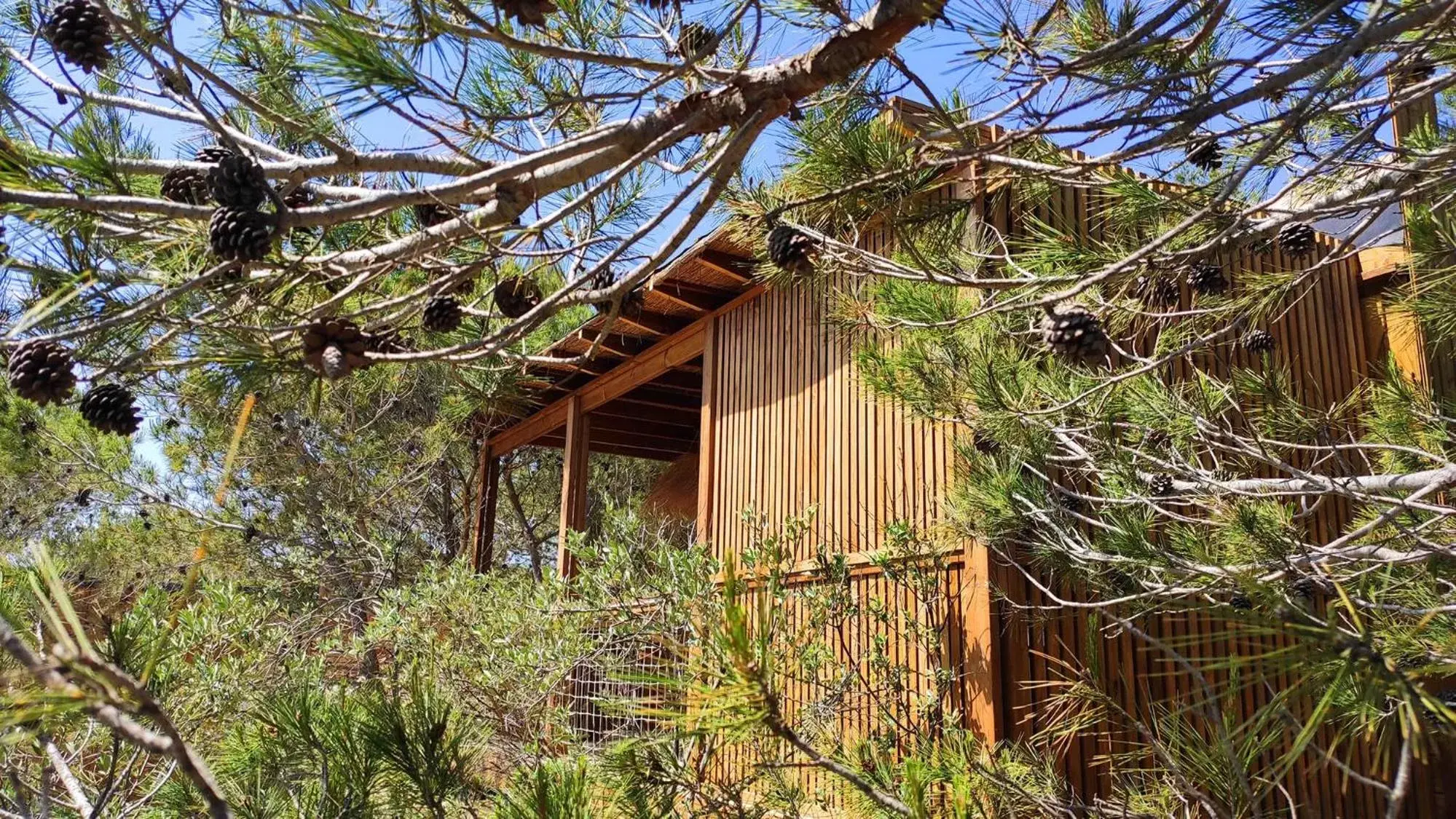 View (from property/room), Property Building in Villa Occitana