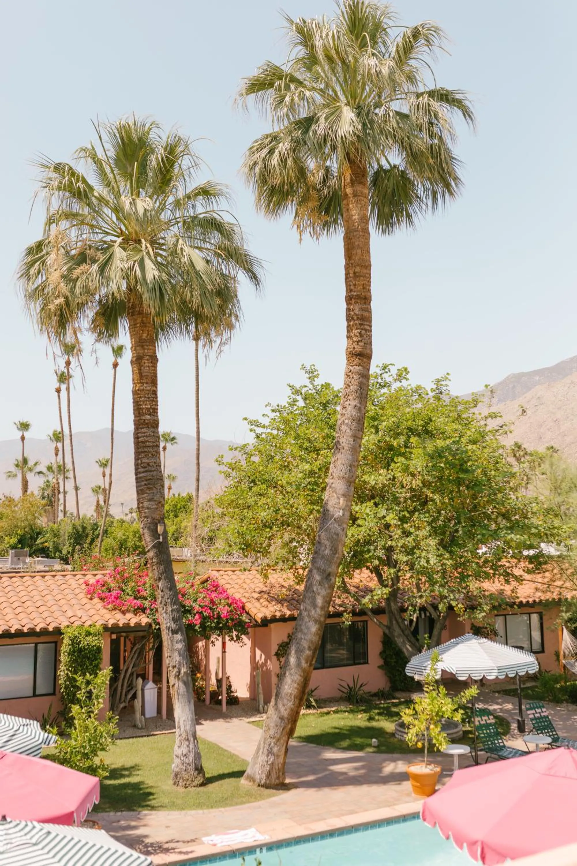 Inner courtyard view in Les Cactus