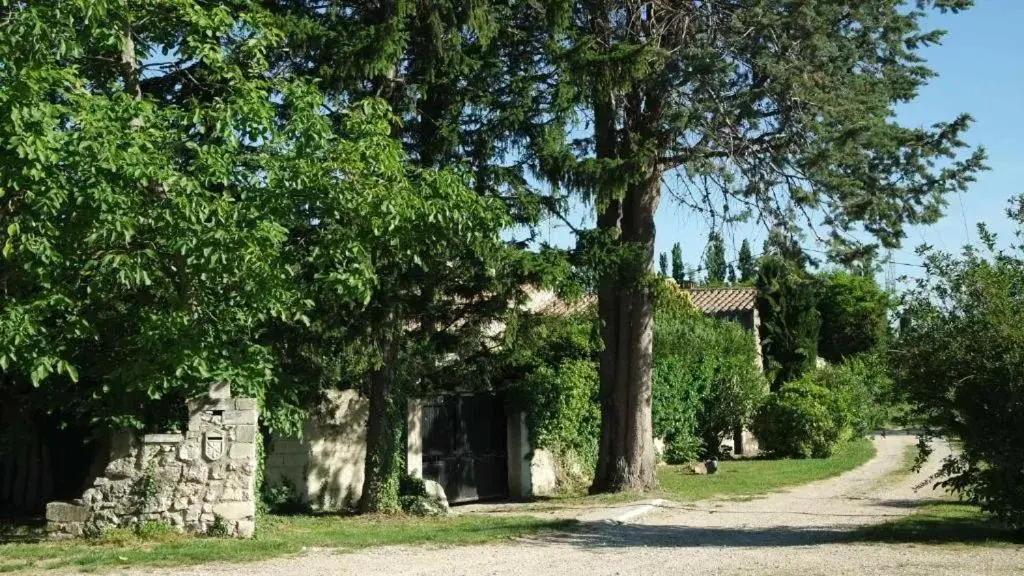 Garden in Mas Grimaud - Gîte- Studio et chambres d'hôtes familiales
