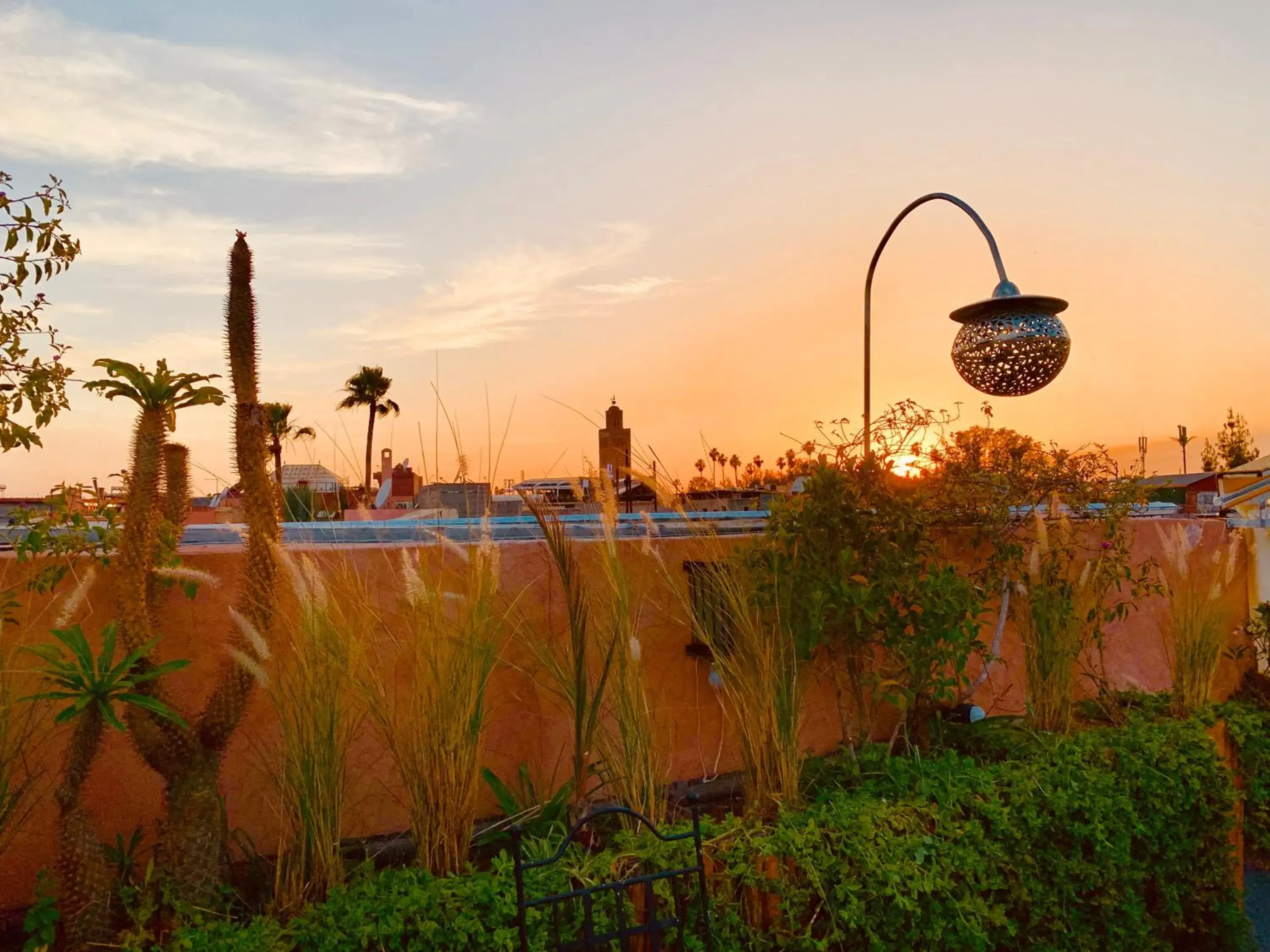 Balcony/Terrace, Swimming Pool in Riad 11 Zitoune