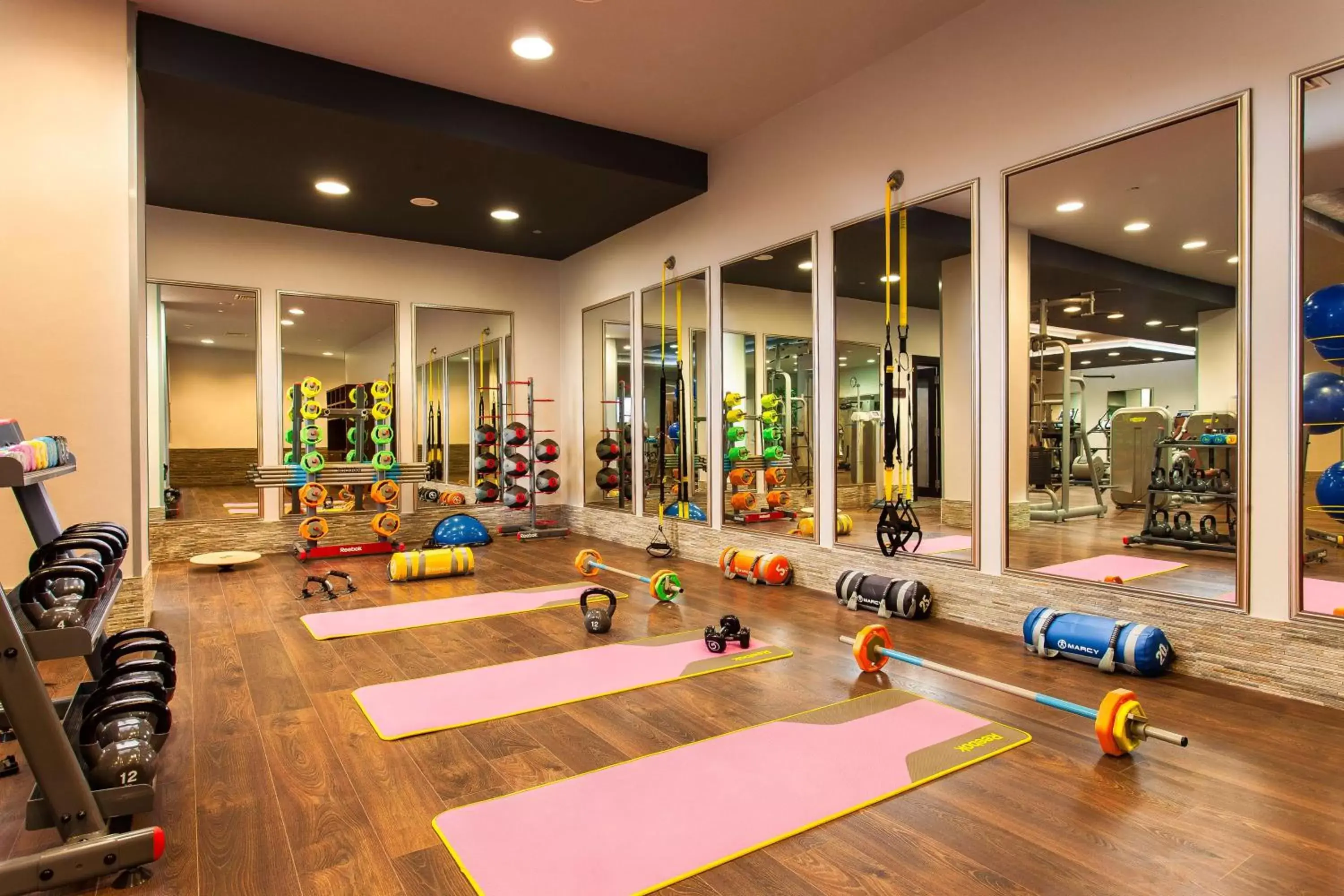 Spa and wellness centre/facilities, Fitness Center/Facilities in Royal Maxim Palace Kempinski Cairo