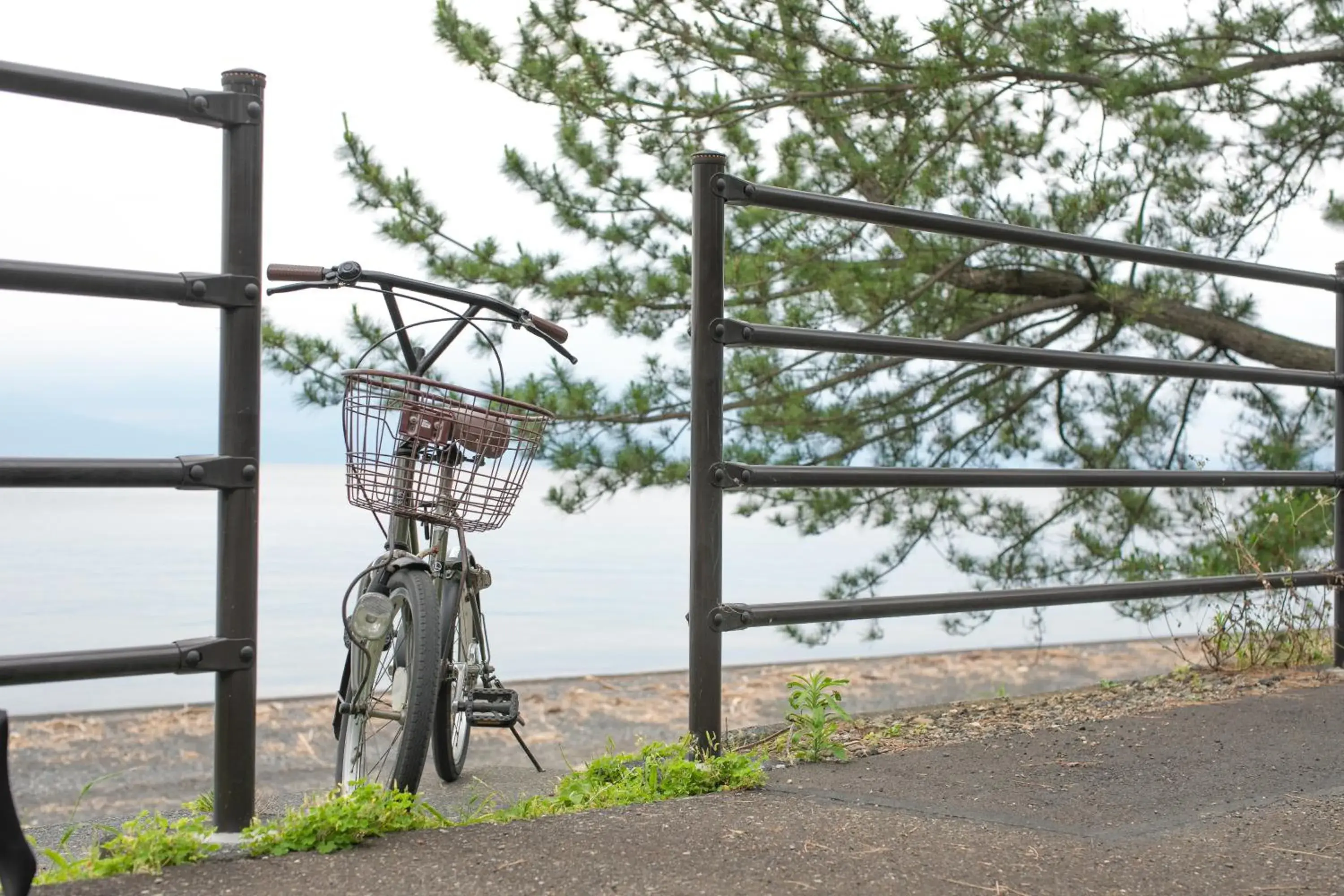 Cycling, Other Activities in Hotel Hagoromo