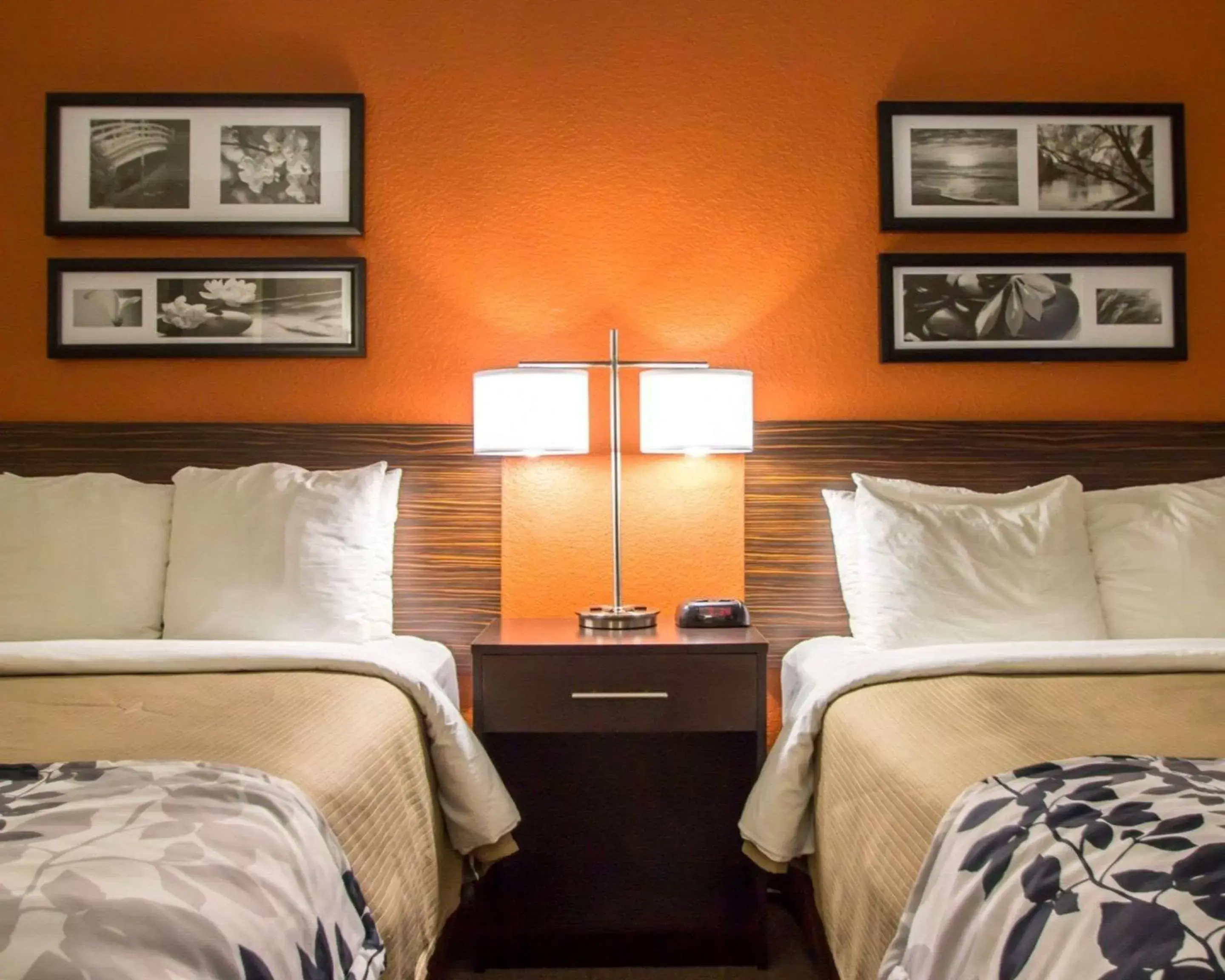 Double Room - Non-Smoking in Sleep Inn Ormond Beach - Daytona Double Room - Non-Smoking in Sleep Inn Ormond Beach - Daytona