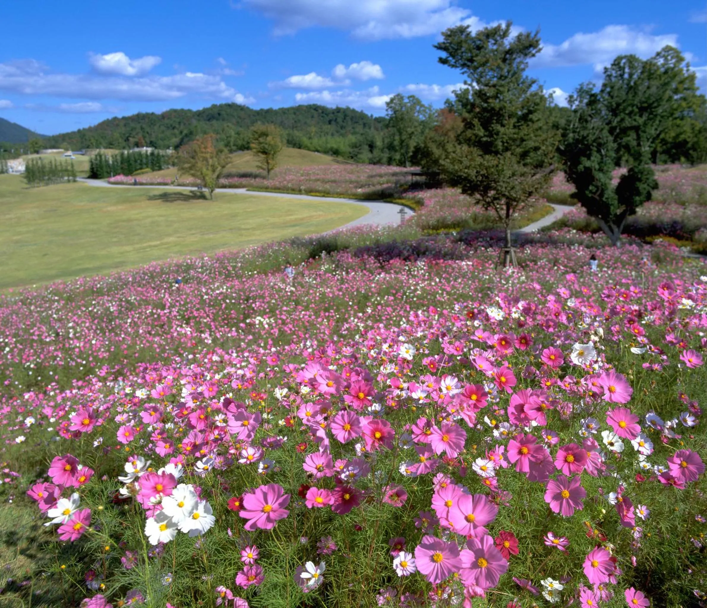 Other in Takamatsu Tokyu REI Hotel