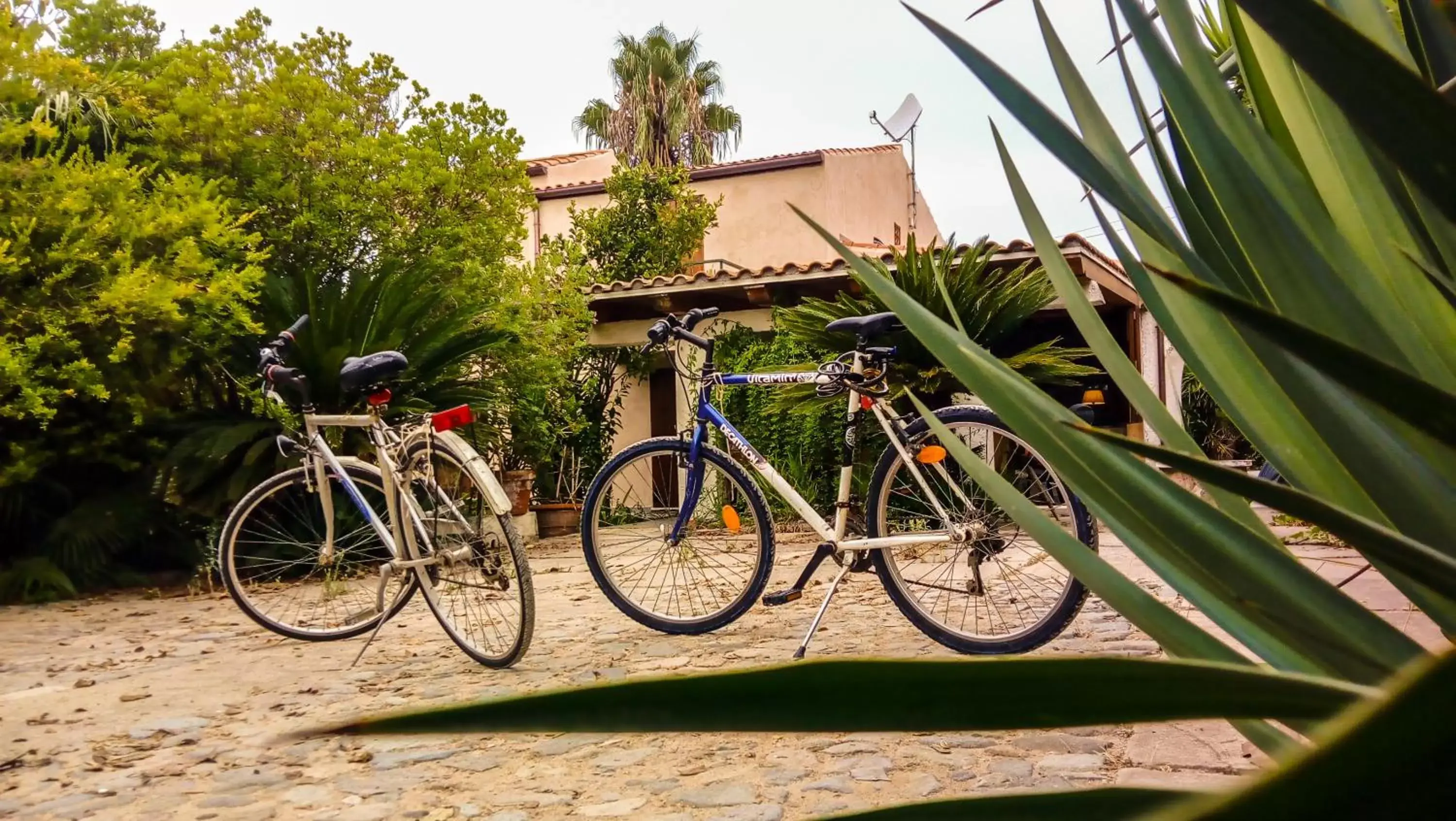 Activities, Biking in Alghero in bicicletta