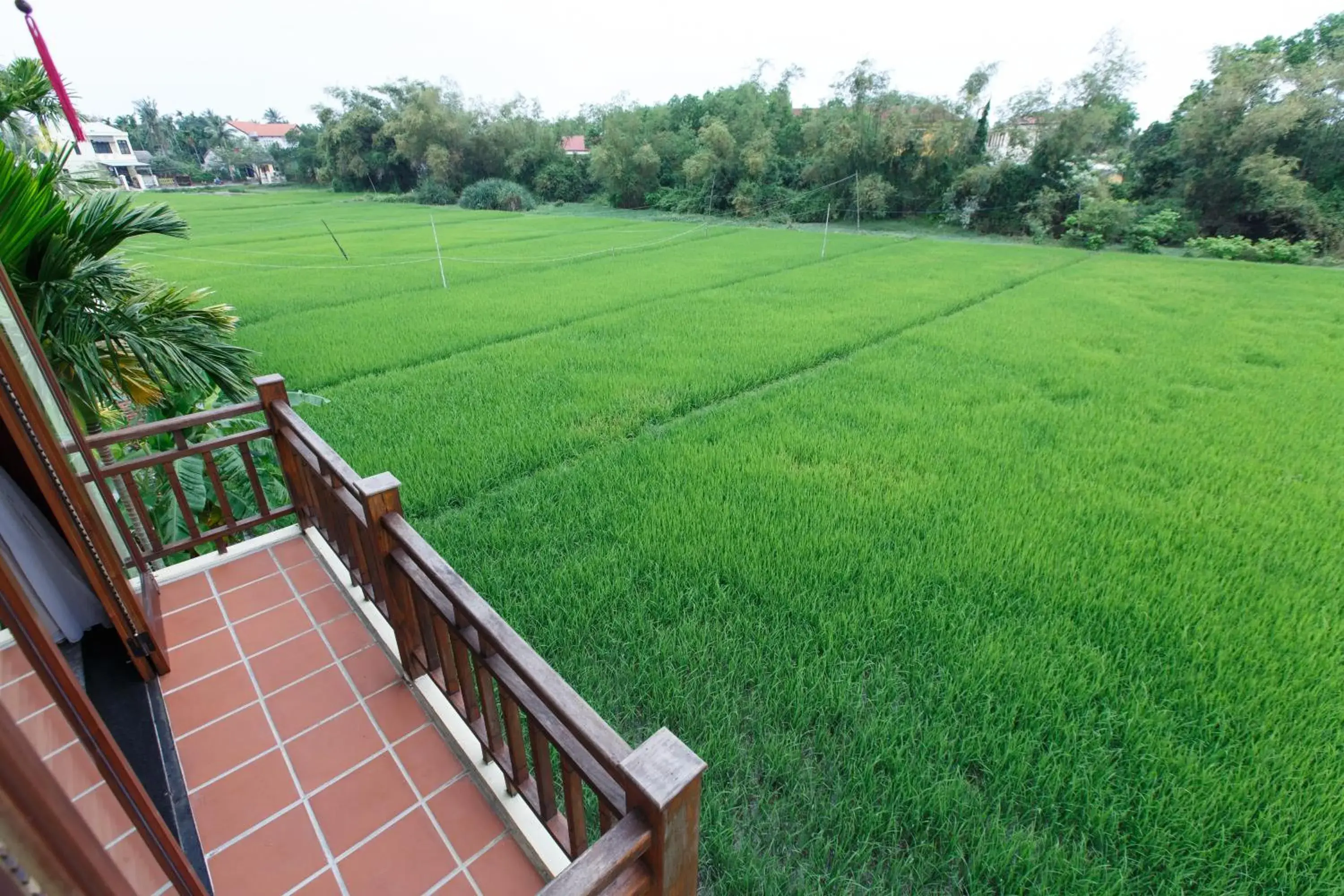 Off site in Lama Villa Hoi An