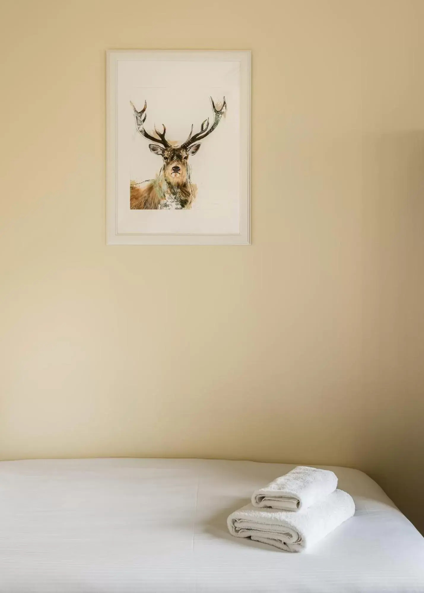 Decorative detail, Bed in Ardgowan Hotel