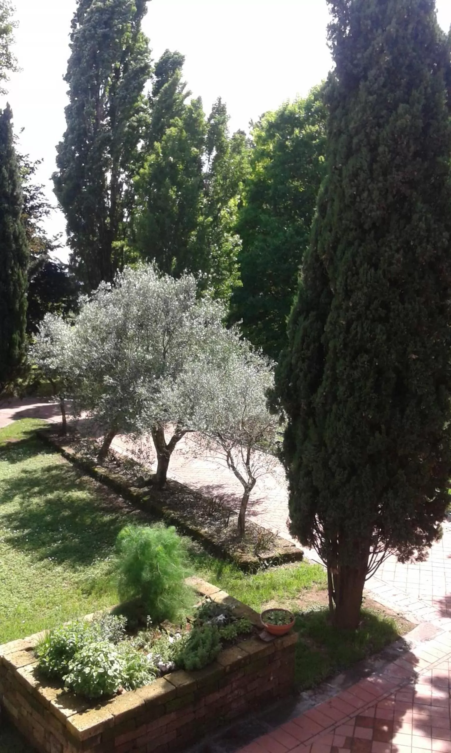 Garden view in I Pioppi Bed & Breakfast