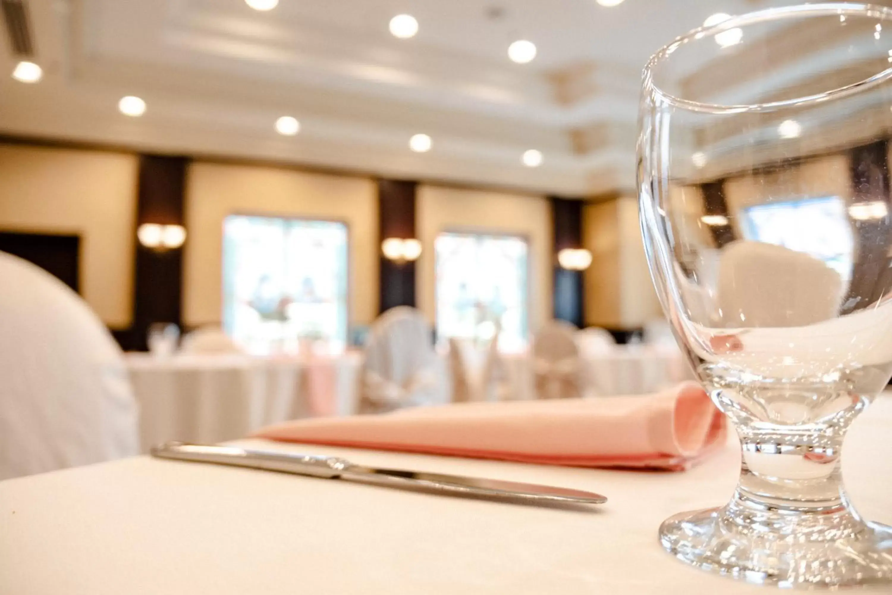 Banquet/Function facilities, Restaurant/Places to Eat in The Casablanca Hotel