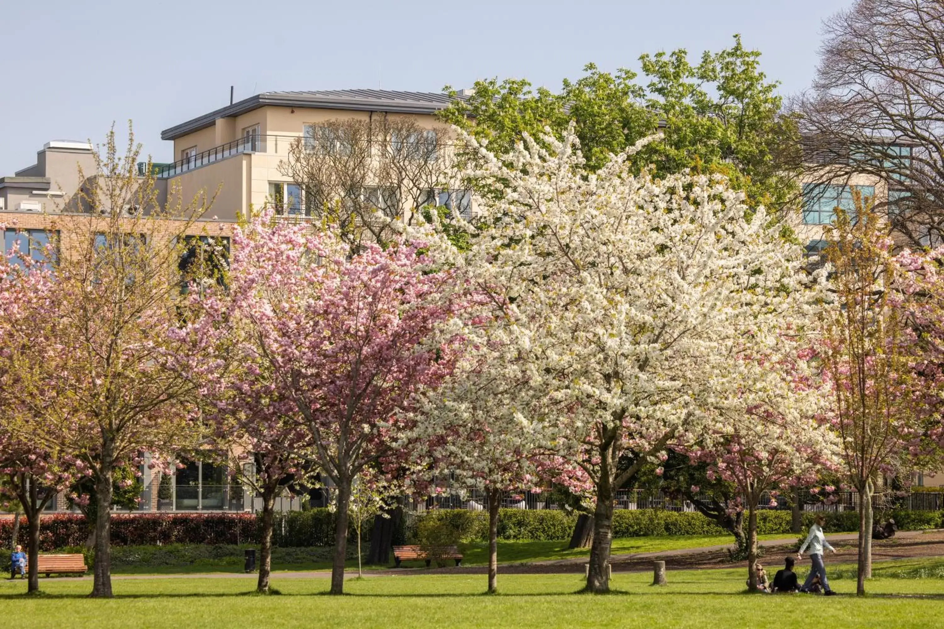 Area and facilities, Property Building in Herbert Park Hotel and Park Residence