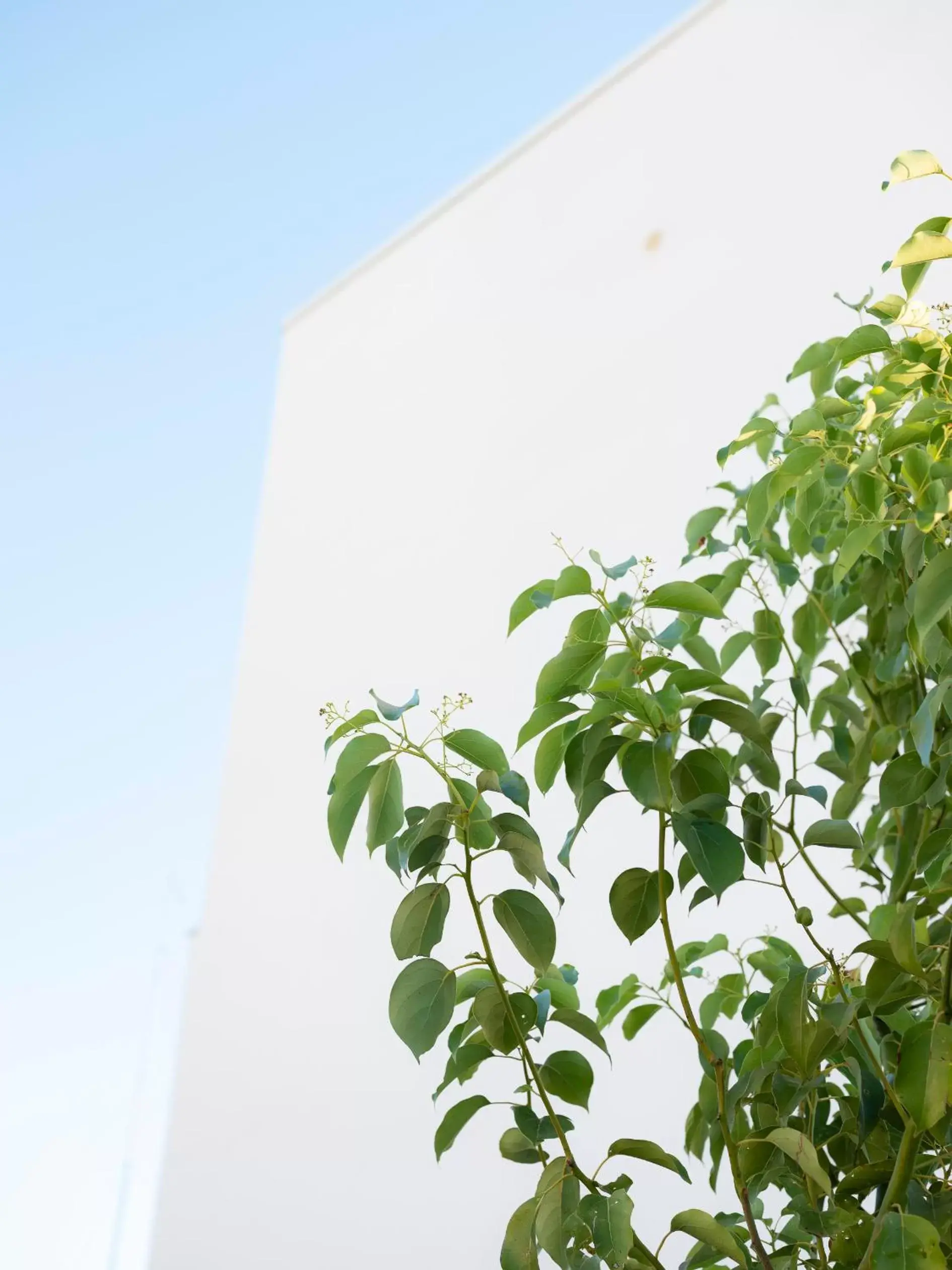 Balcony/Terrace, Property Building in Imago Plus Hotel