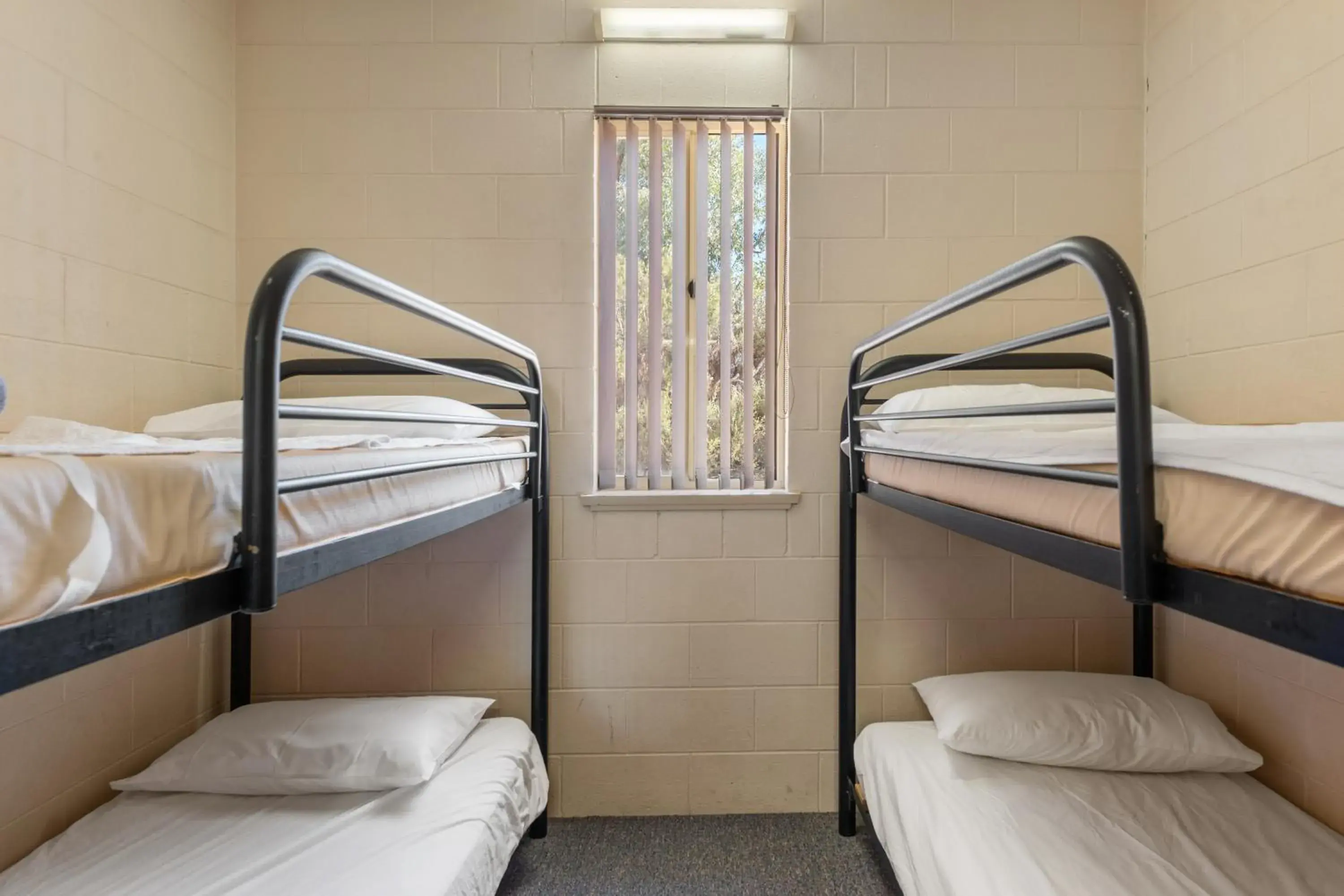 Bunk Bed in Discovery Parks - Lake Bonney