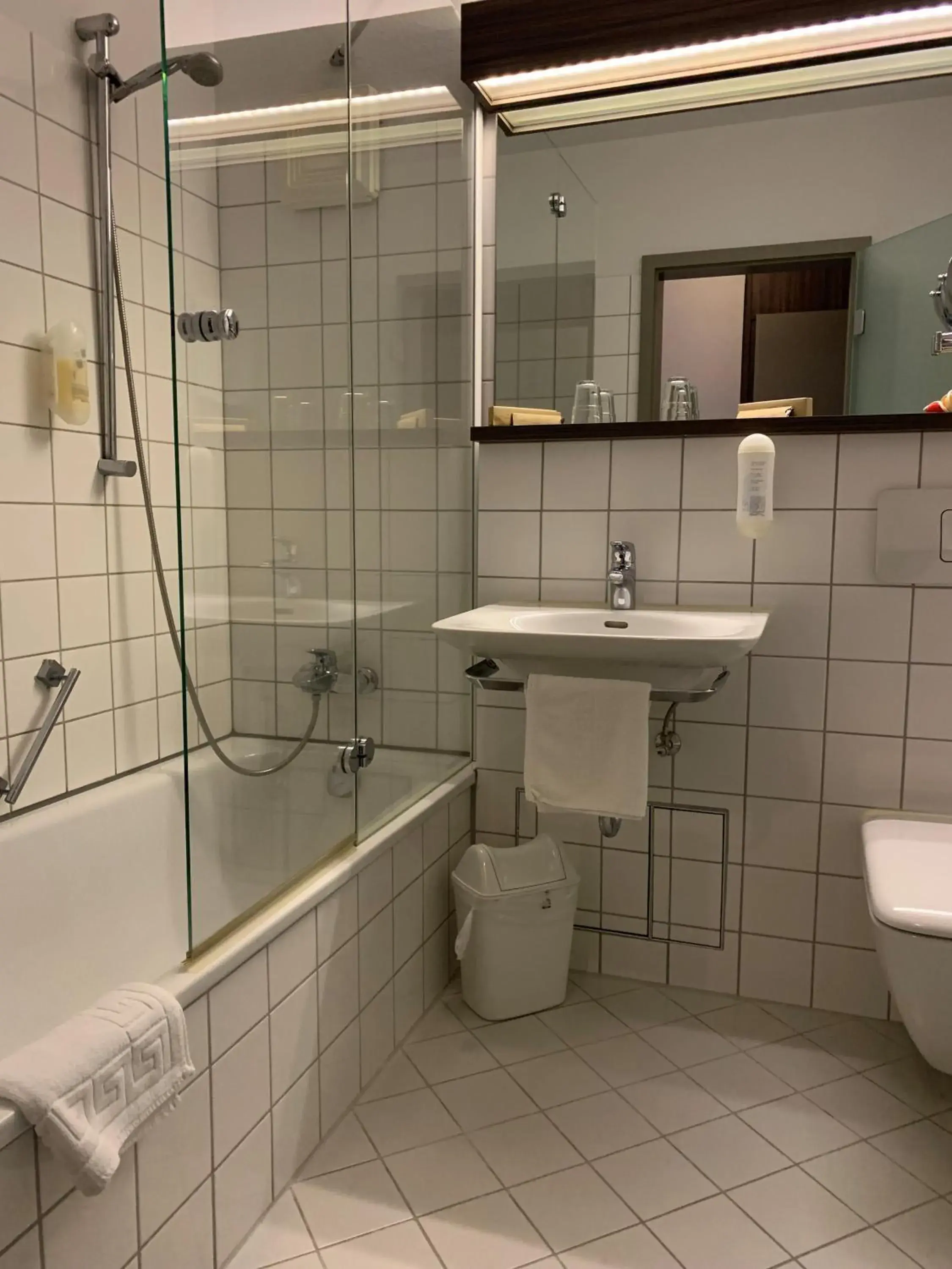 Standard Suite - single occupancy in Hotel Ambiente Walldorf