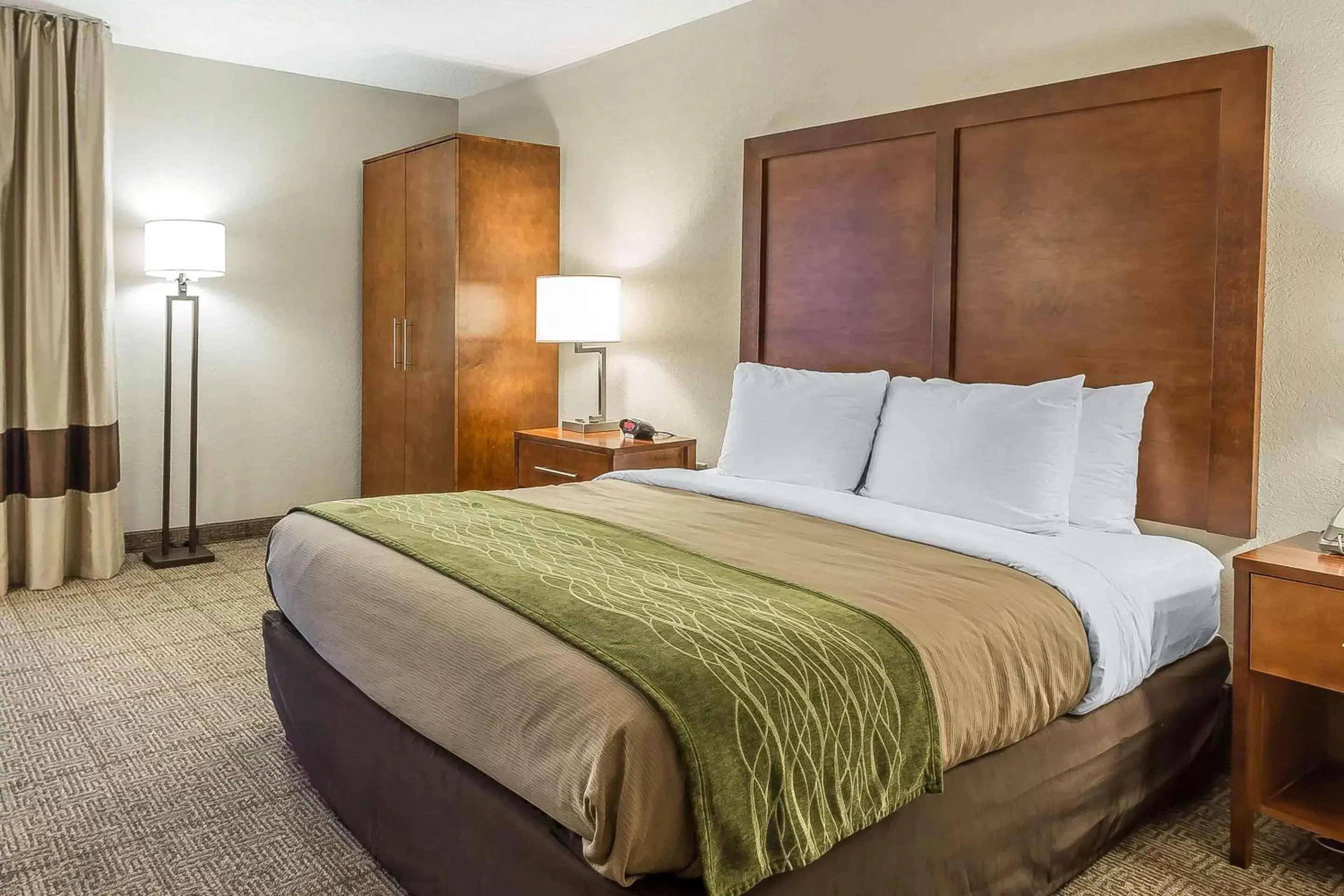 Photo of the whole room, Bed in Quality Inn Summerville-Charleston