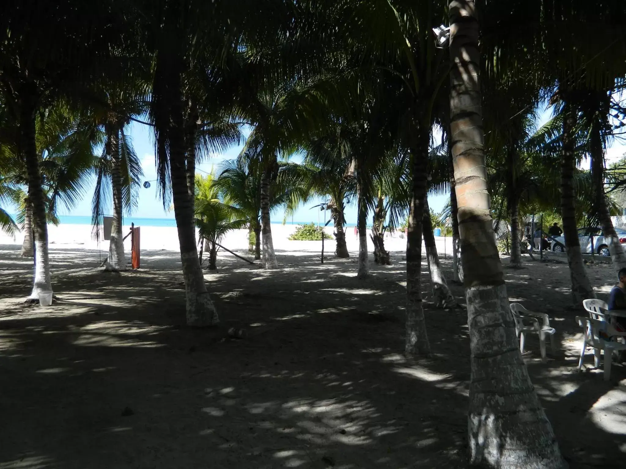 Beach in Cabañas Camping Ria Celestun