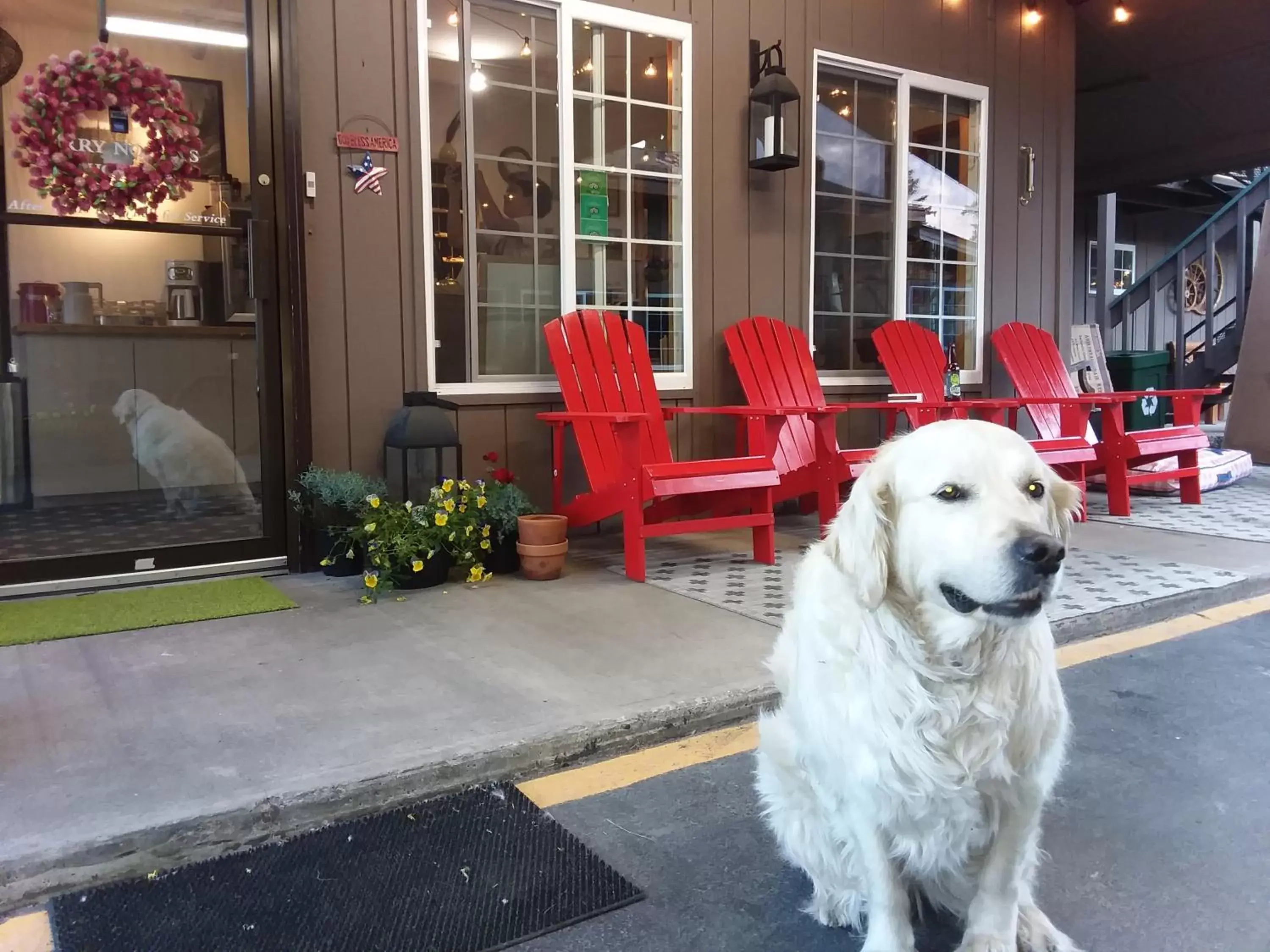 Lobby or reception in Chalet Inn Lobby or reception in Chalet Inn