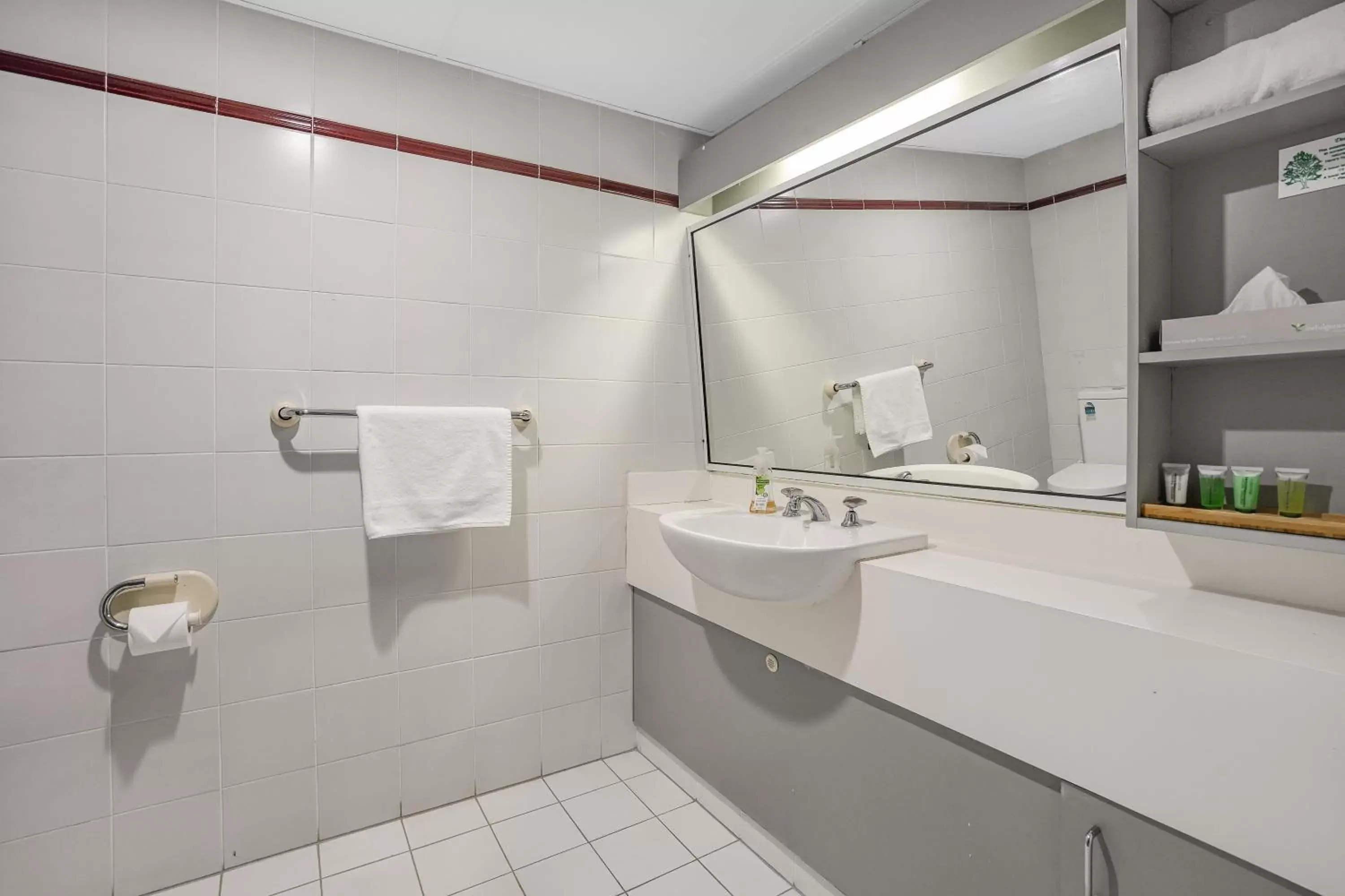 Bathroom in Nelson Towers Motel & Apartments