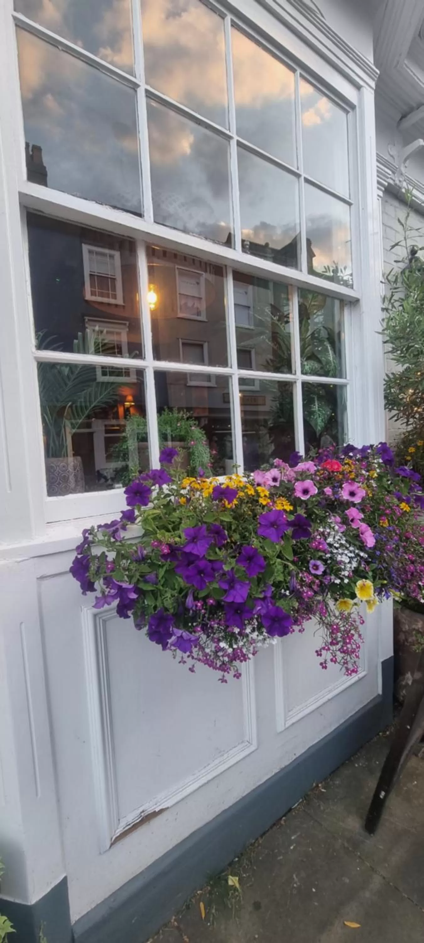 Property building in White Horse