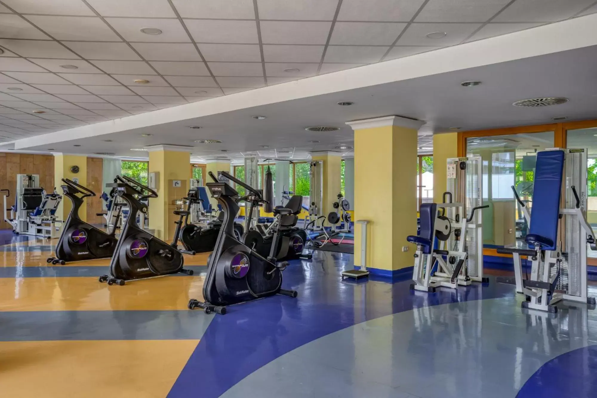 Fitness centre/facilities, Fitness Center/Facilities in Ensana Grand Margaret Island