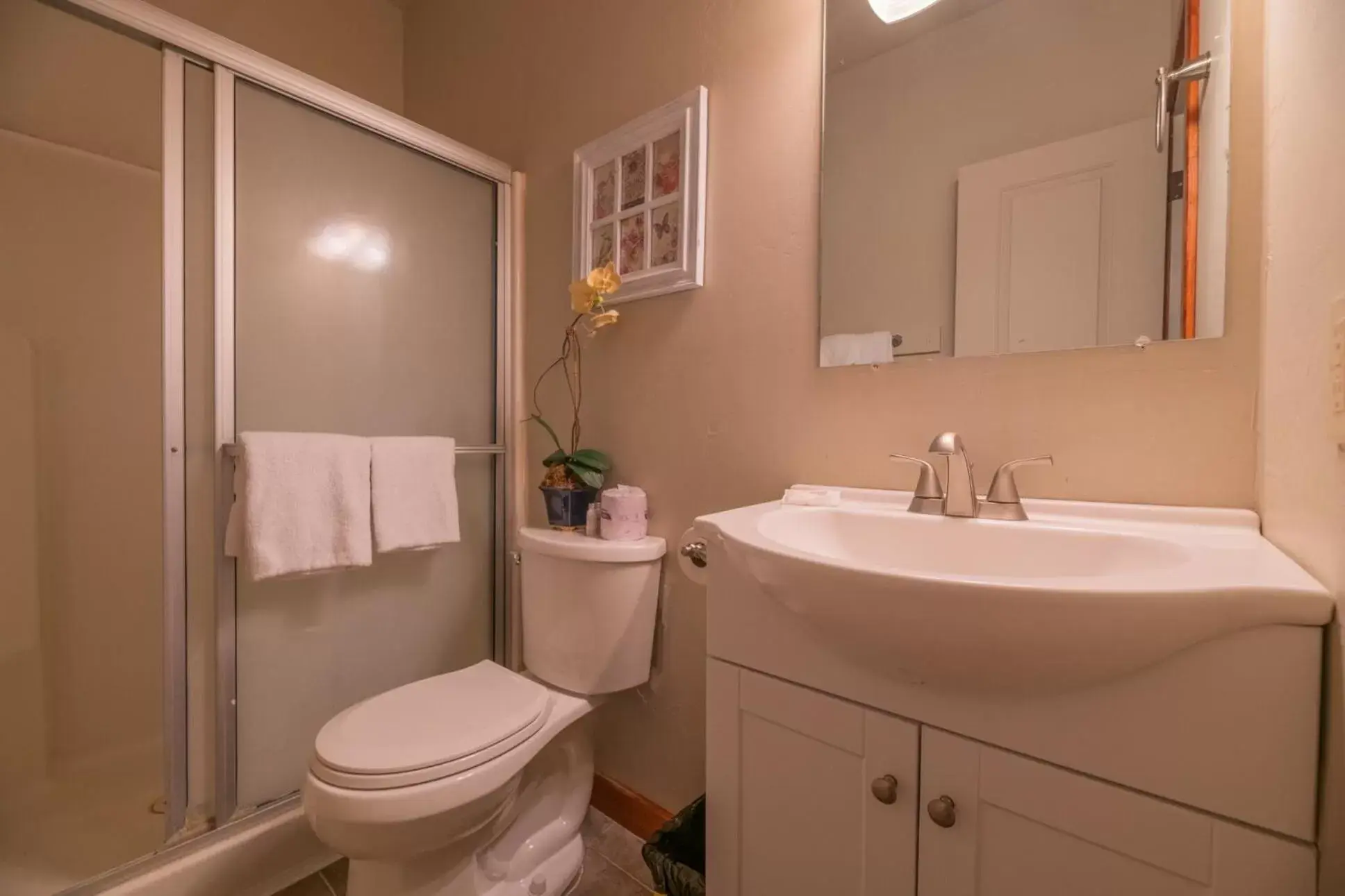 Bathroom in Black Forest Lodge