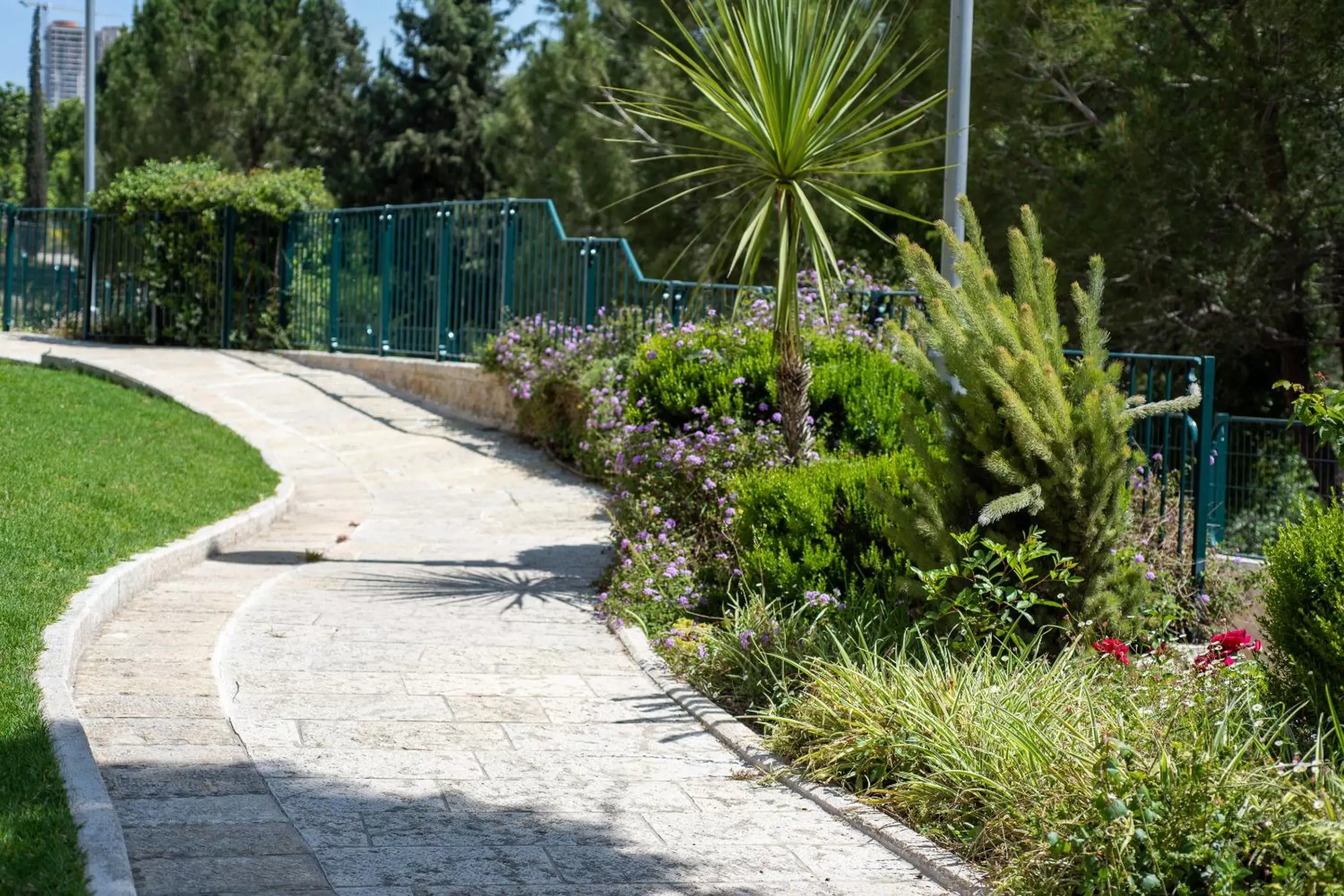 Garden in Hotel Yehuda