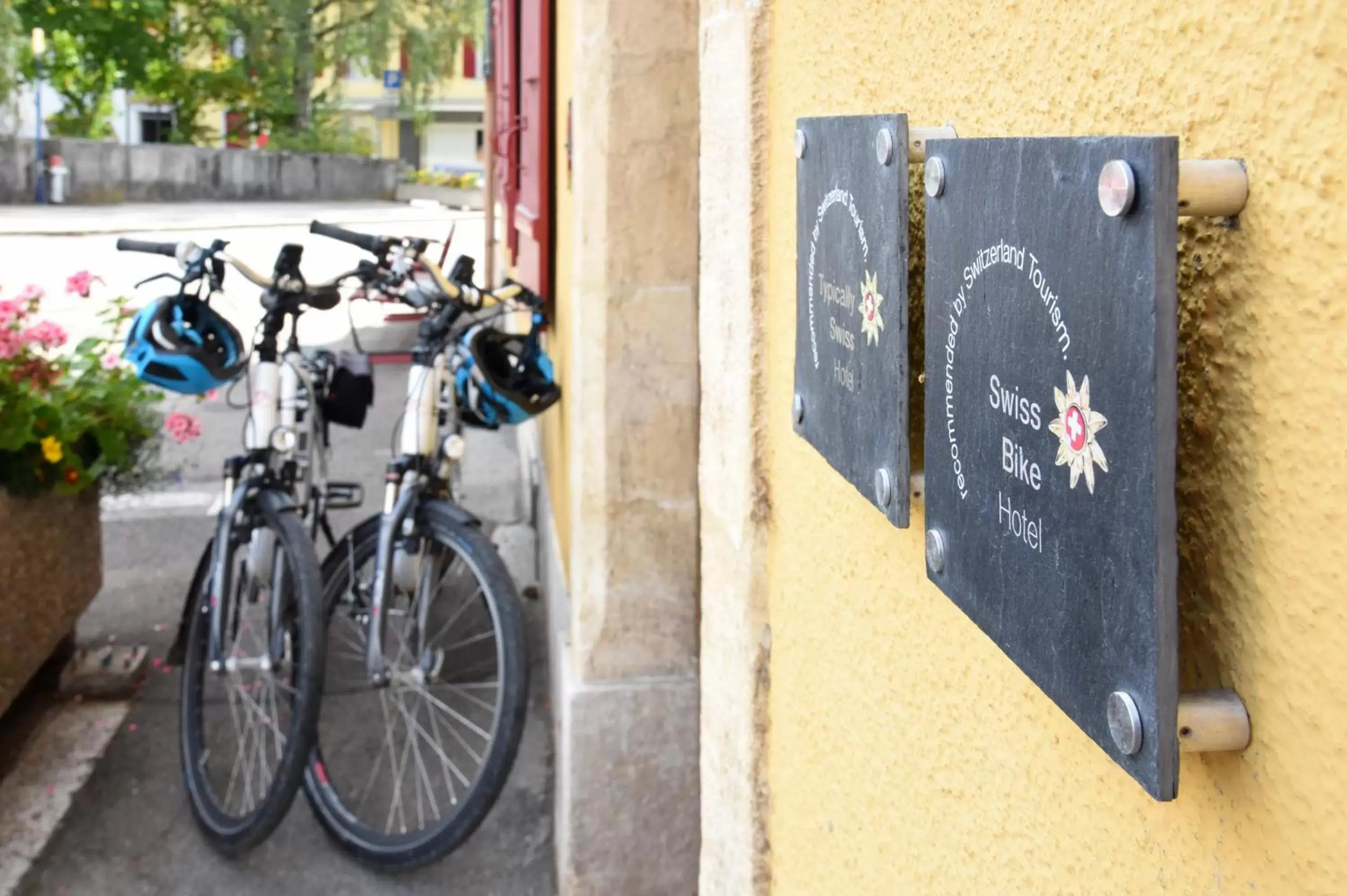 Cycling, Biking in Hôtel de l'Aigle