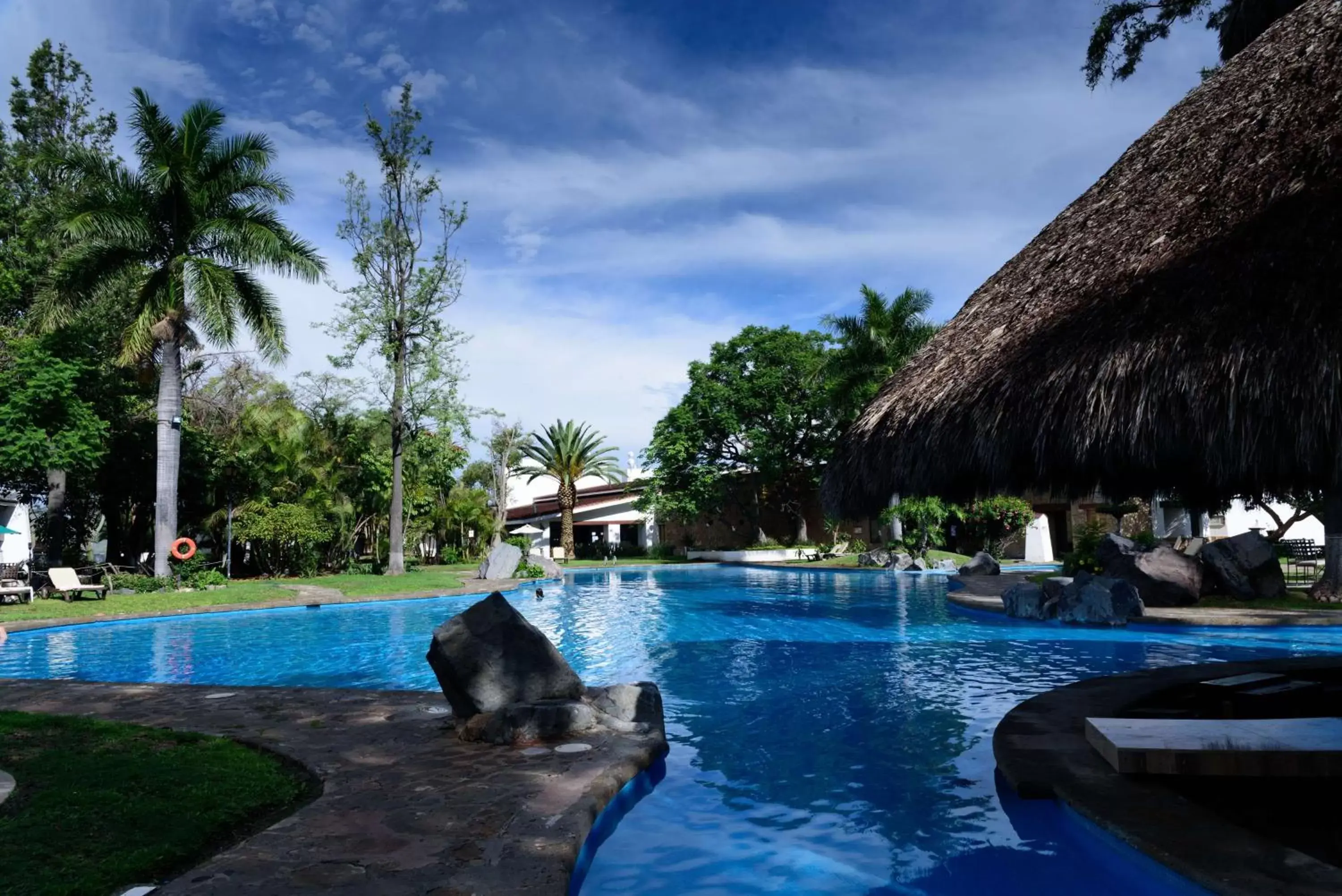Activities, Swimming Pool in Radisson Hotel Tapatio Guadalajara