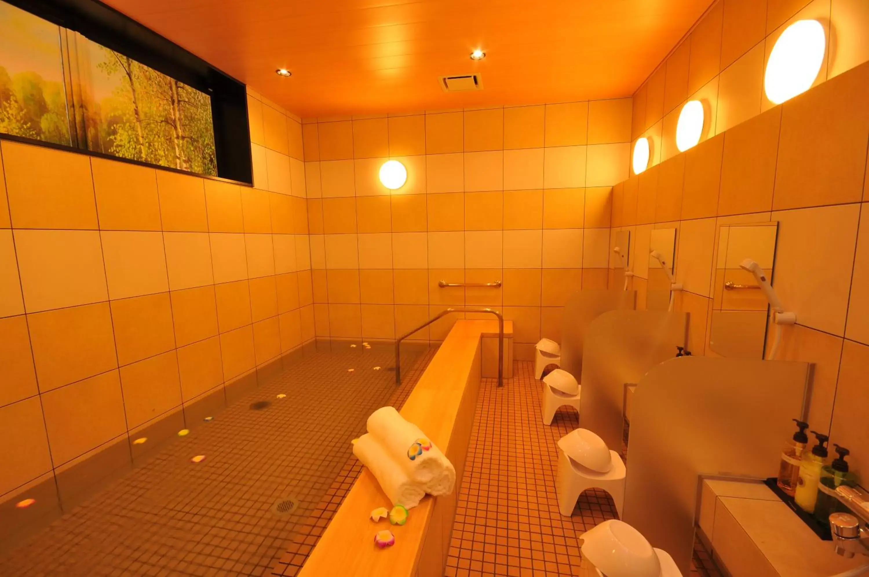 Public Bath, Bathroom in Grand Park Hotel The Luxueux Minami Kashiwa