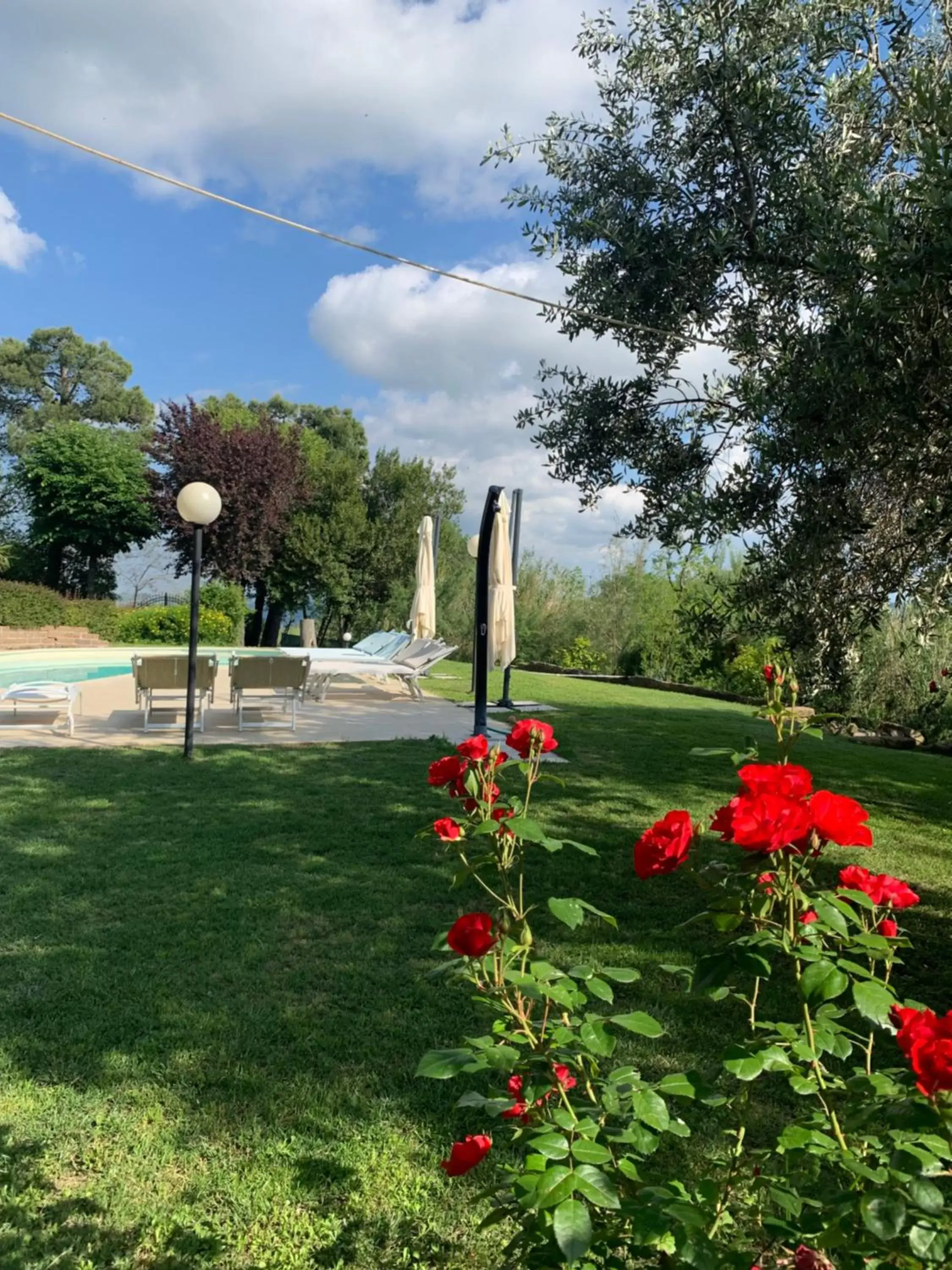 Garden in Il Lauro