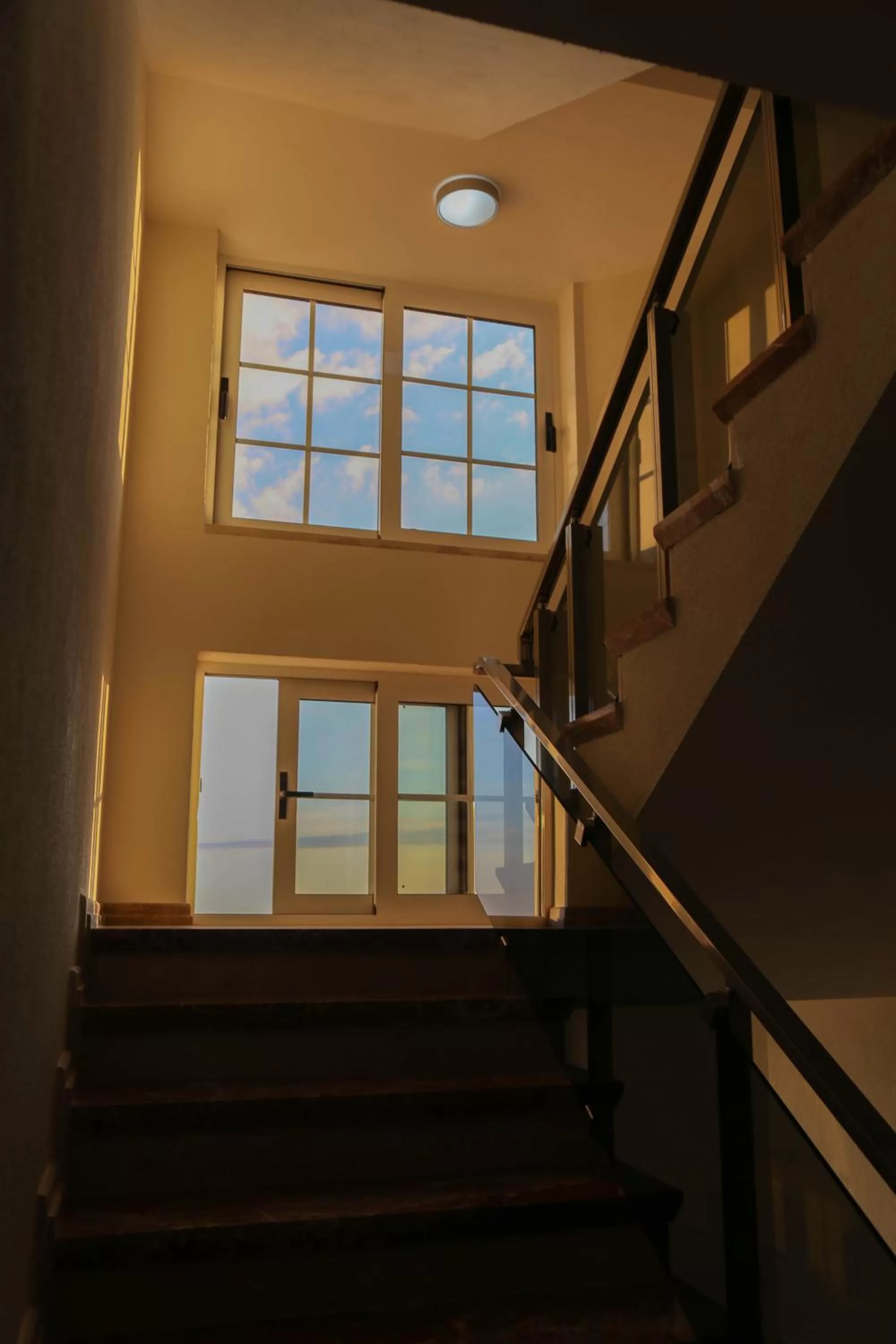 Area and facilities in Mervin Hotel