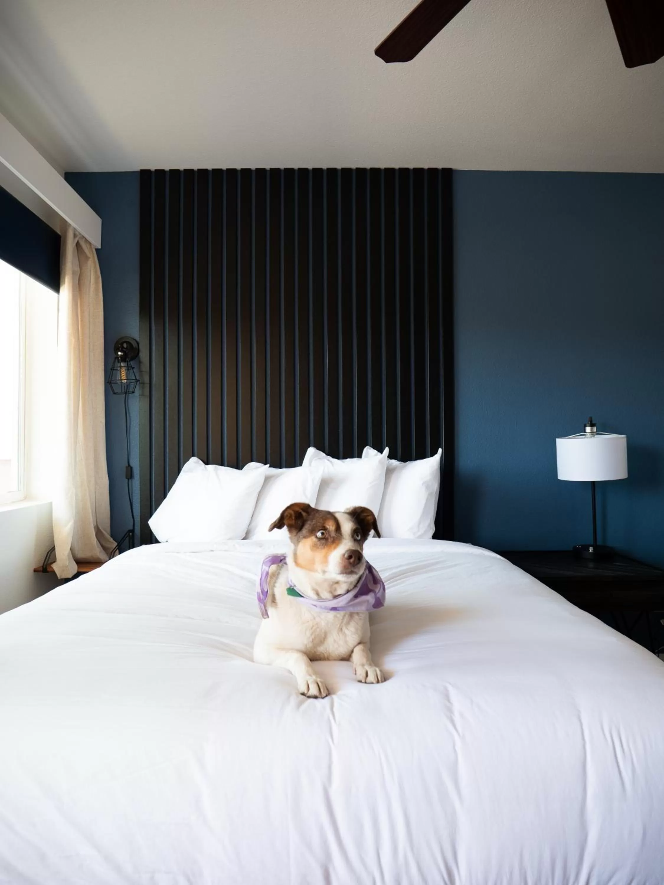 Bed in Balanced Rock Inn
