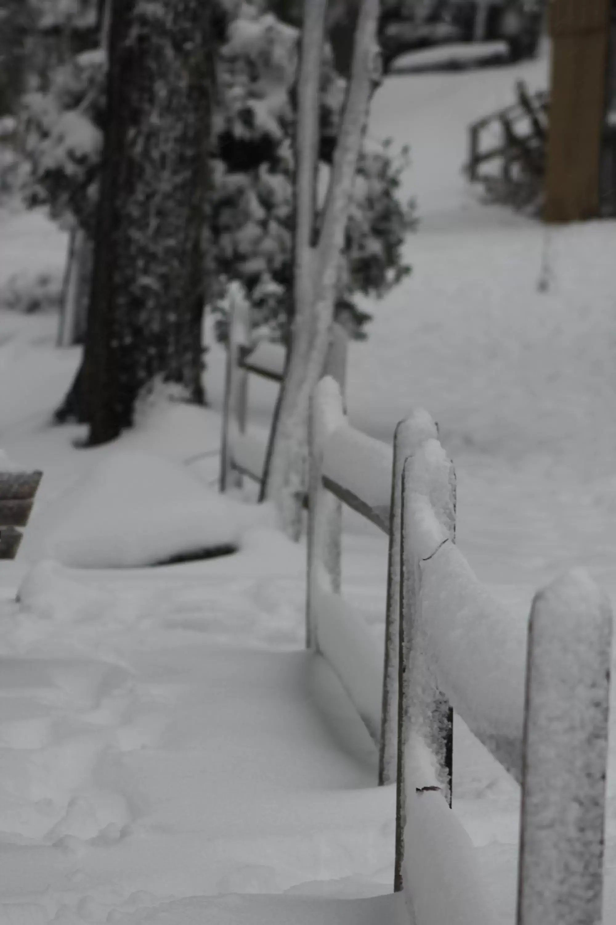 Winter in The Evening Shade River Lodge and Cabins