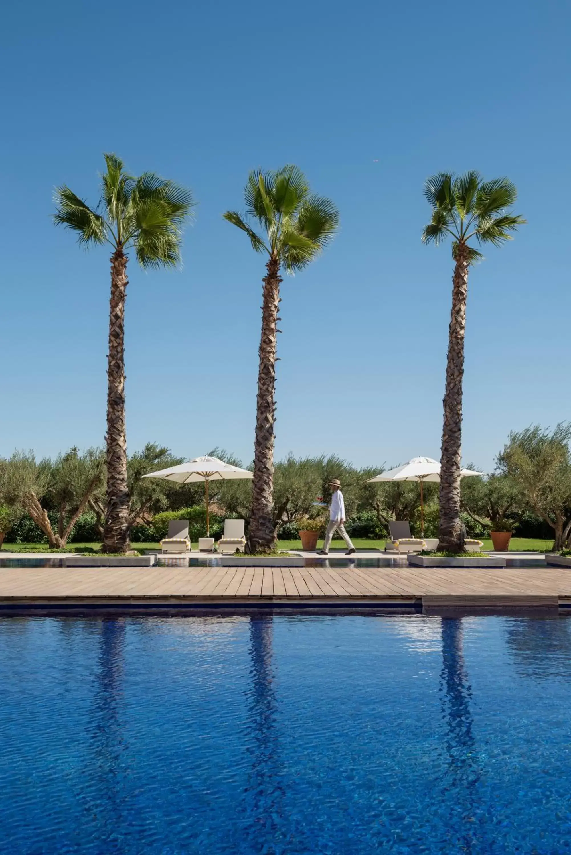 Pool view, Swimming Pool in The Oberoi Marrakech