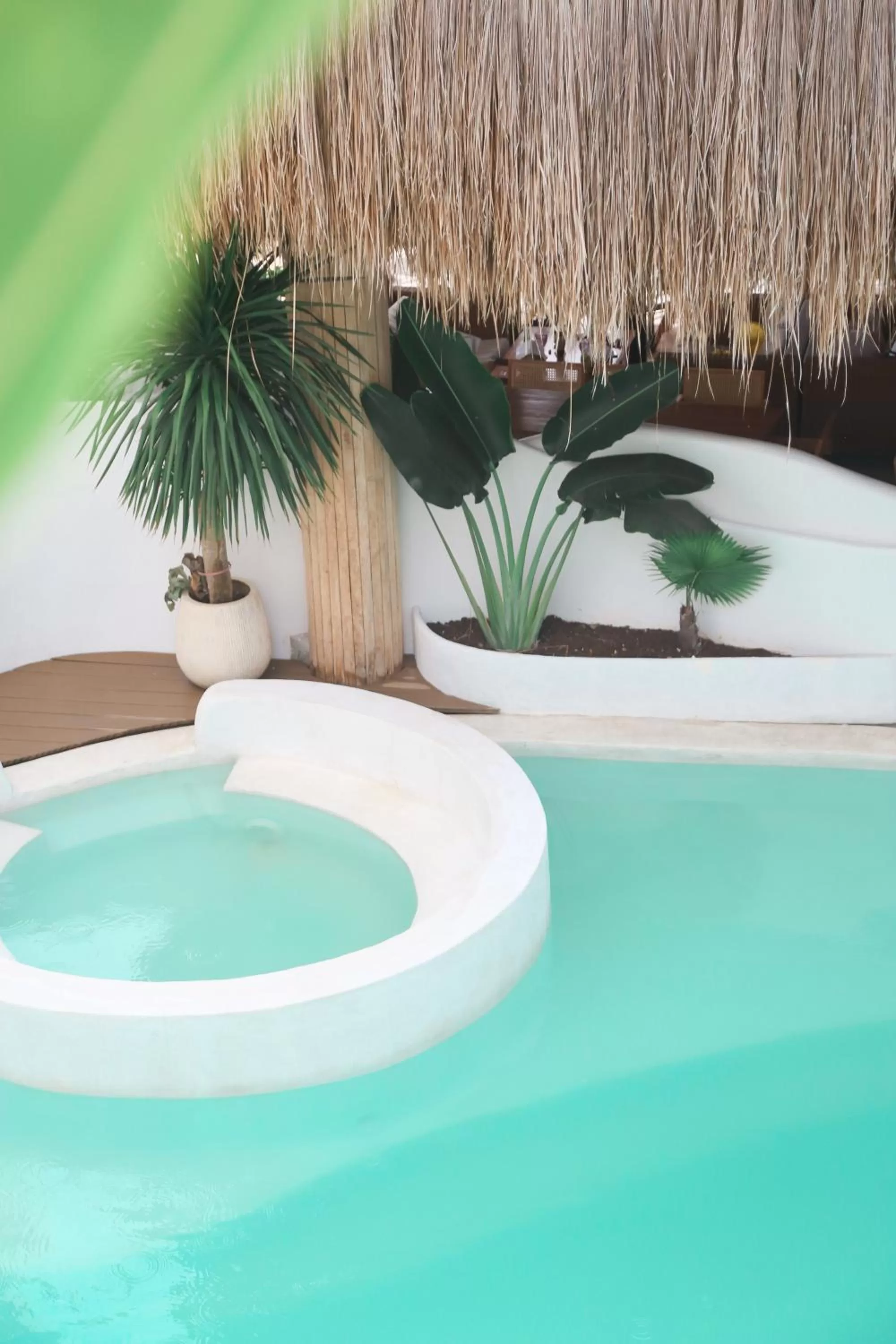 Swimming pool in Bassa nova villa