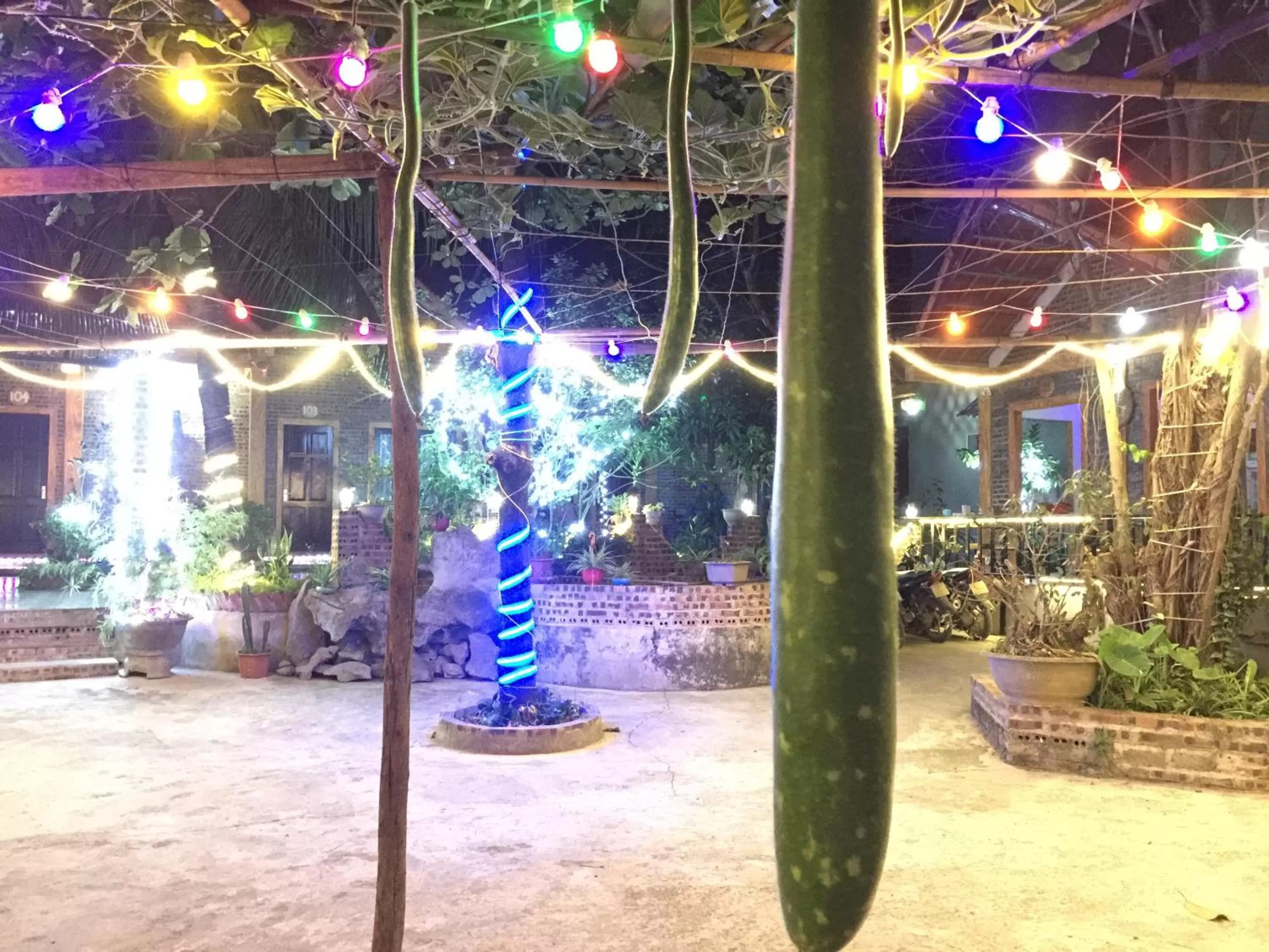 Night in Tam Coc Vinh Thinh Homestay