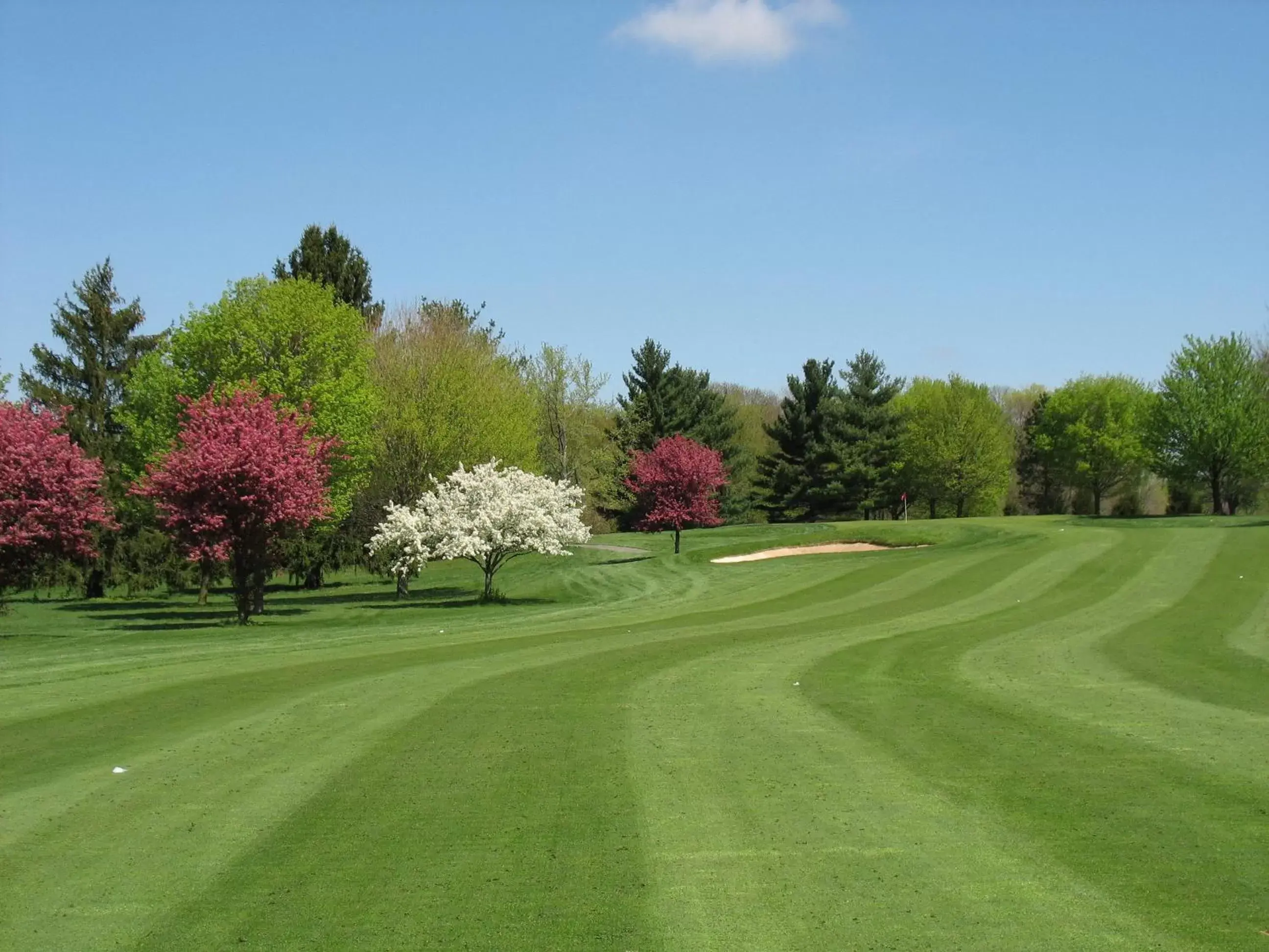 Golfcourse, Golf in Holiday Inn Cincinnati-Eastgate, an IHG Hotel