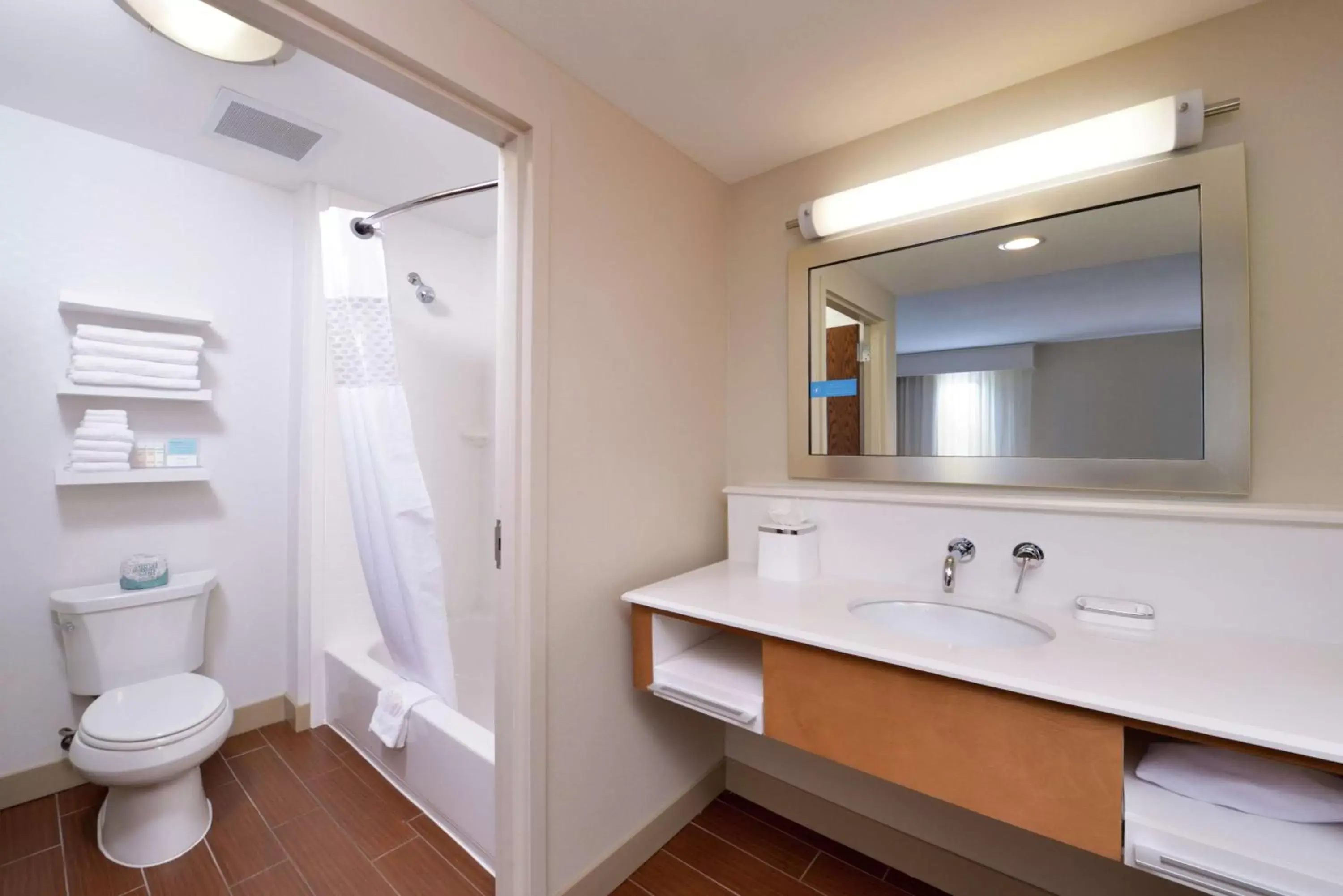Bathroom in Hampton Inn & Suites by Hilton Lonoke