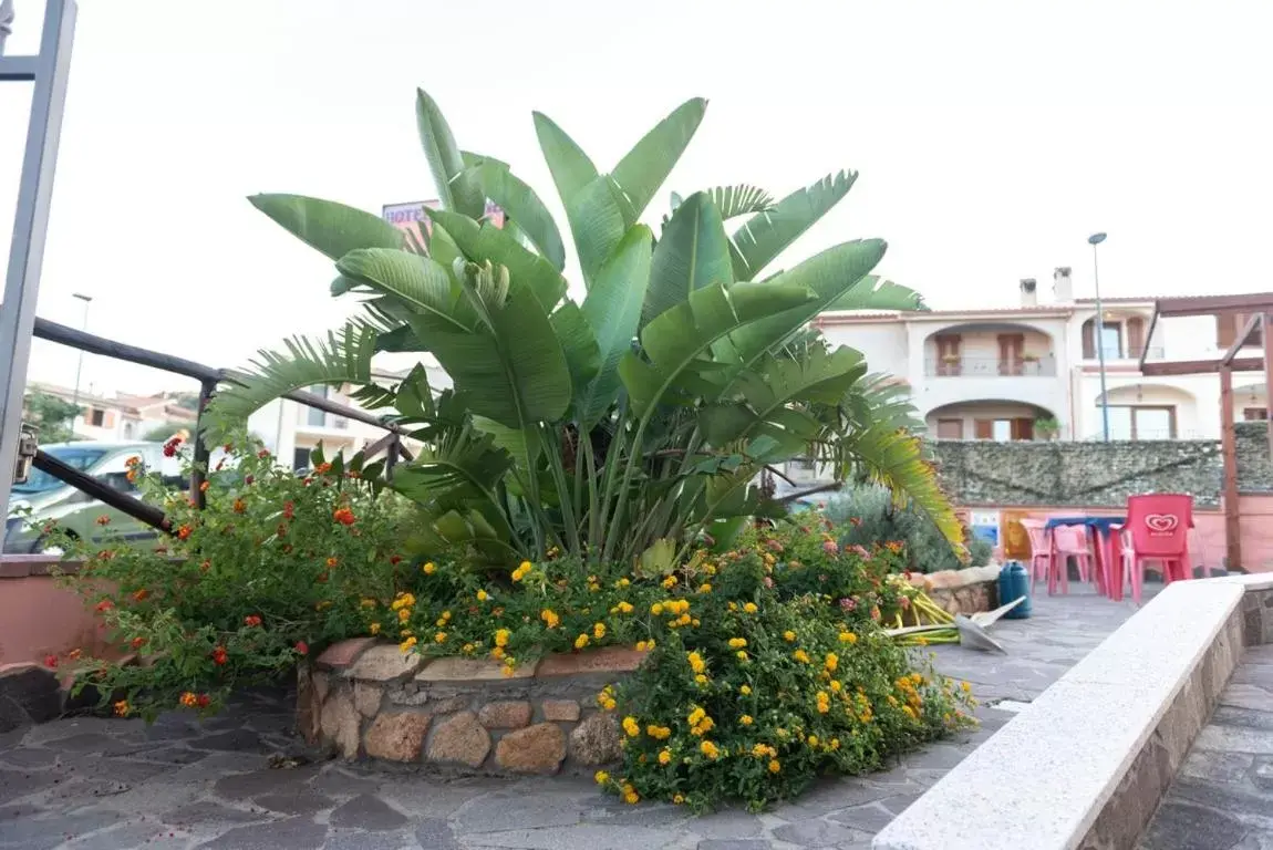 Garden in Hotel Jasmine