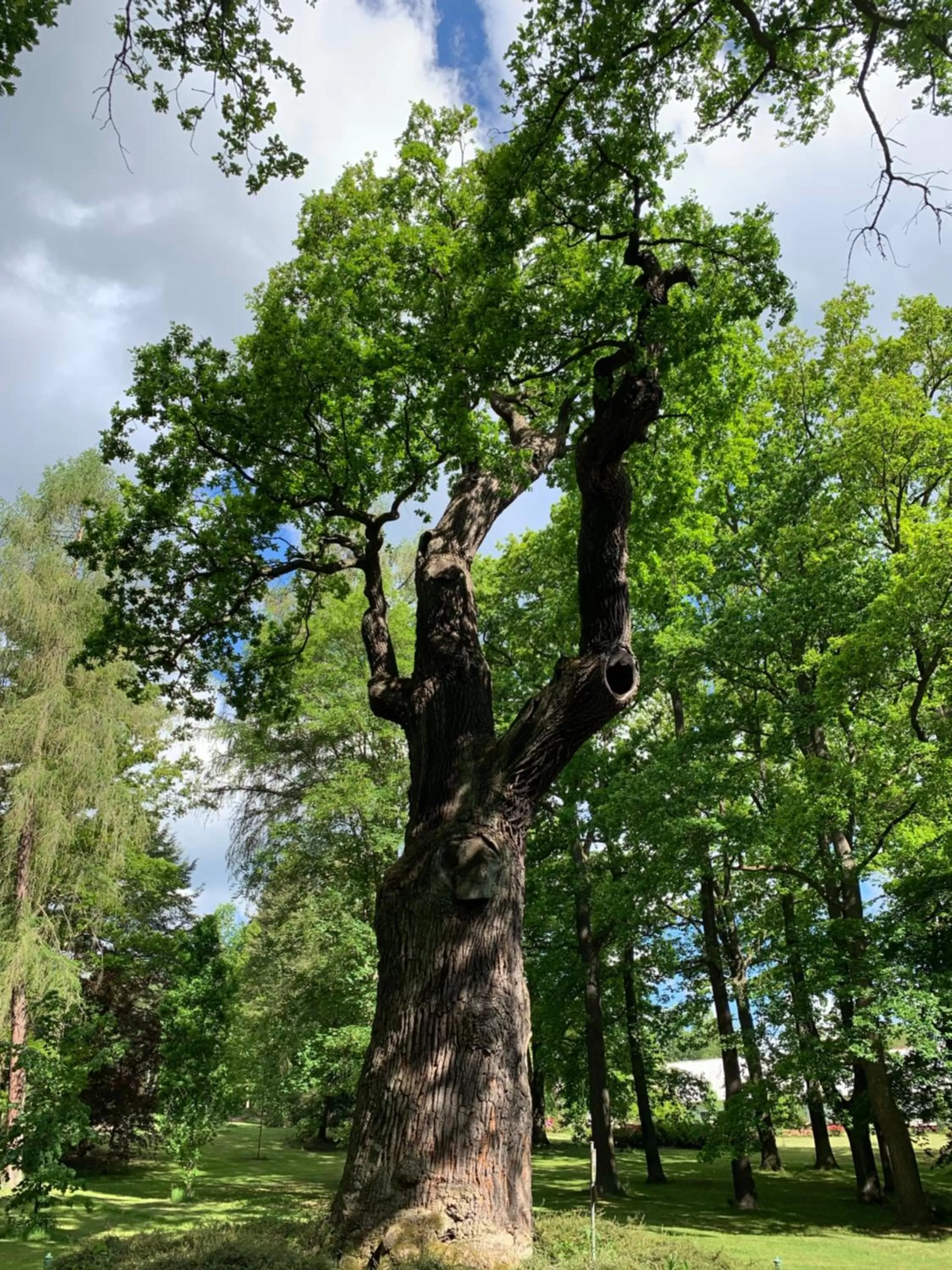 Nearby landmark in Parkhotel Carlsbad Inn