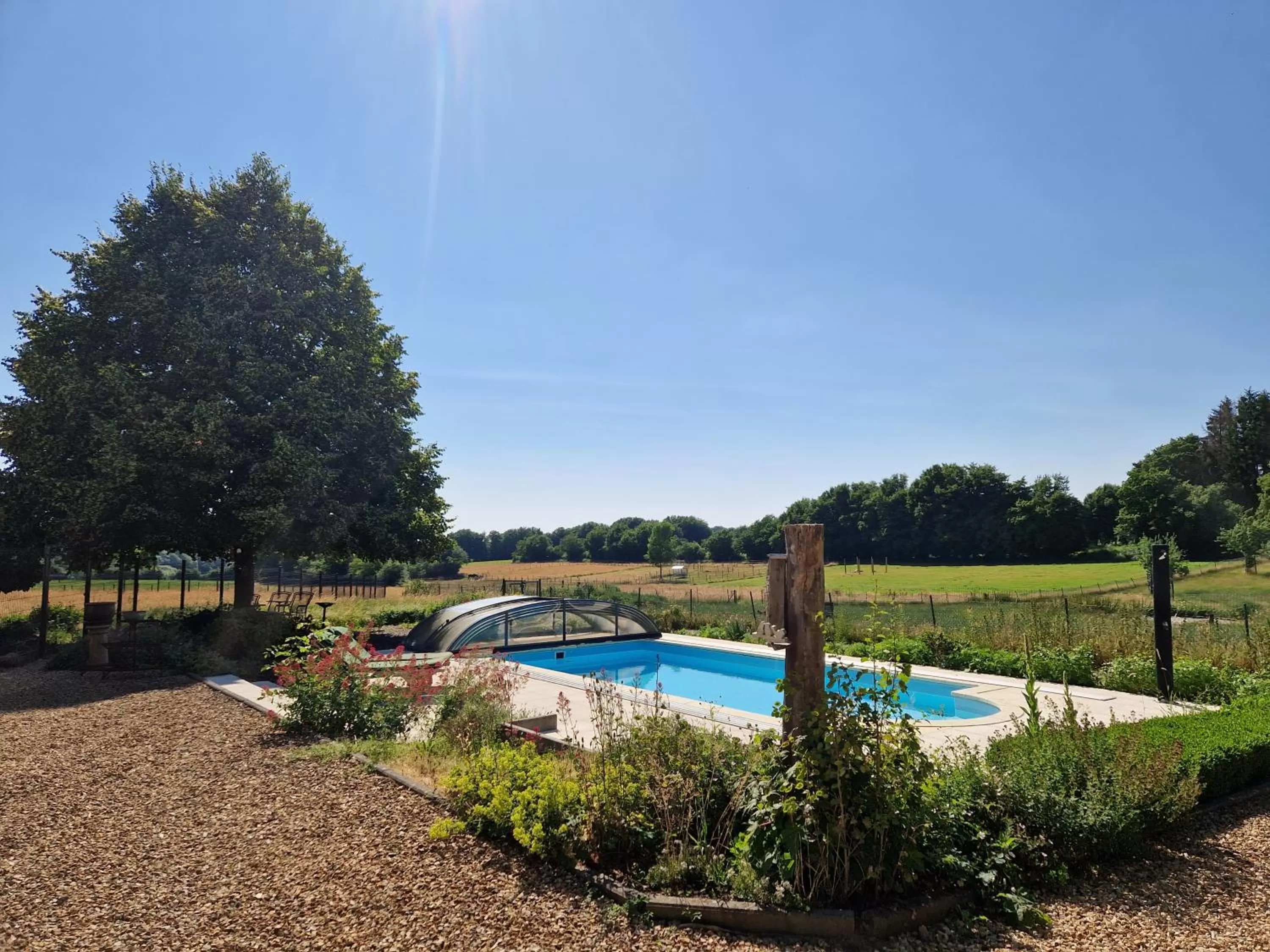 Garden, Swimming Pool in Habitat