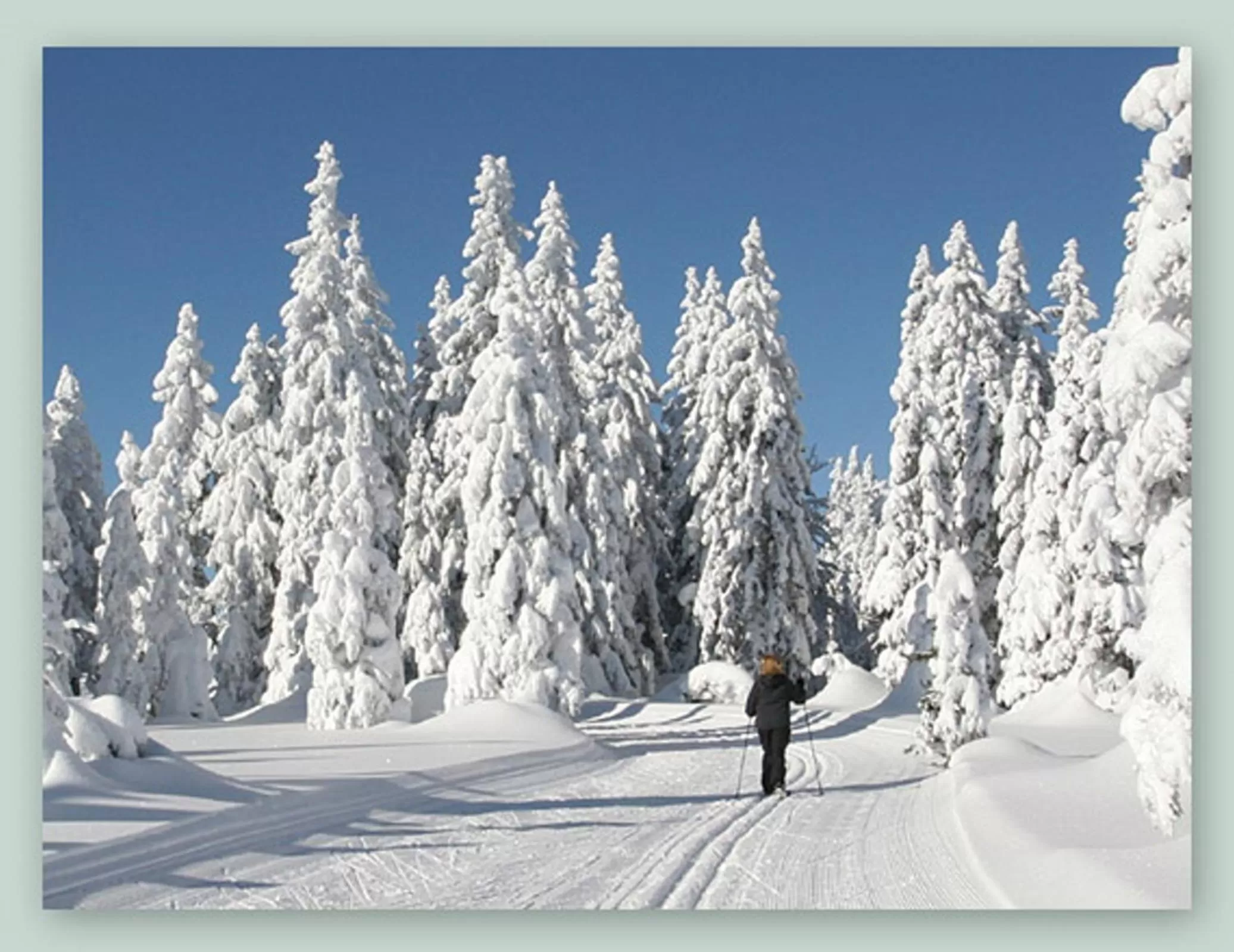 Winter in GarniHotel - Arberblick