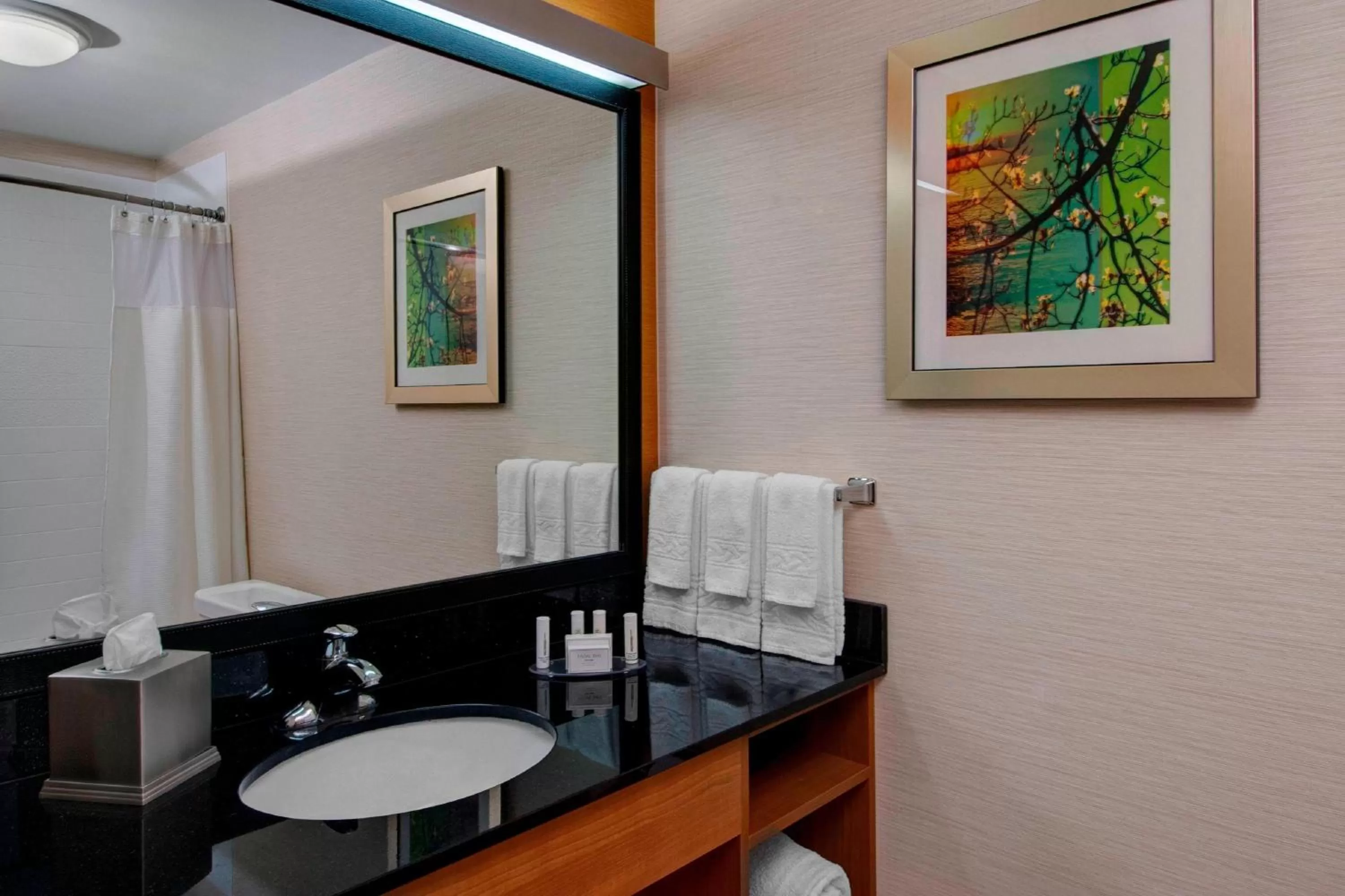 Bathroom in Fairfield Inn & Suites by Marriott Fort Worth I-30 West Near NAS JRB